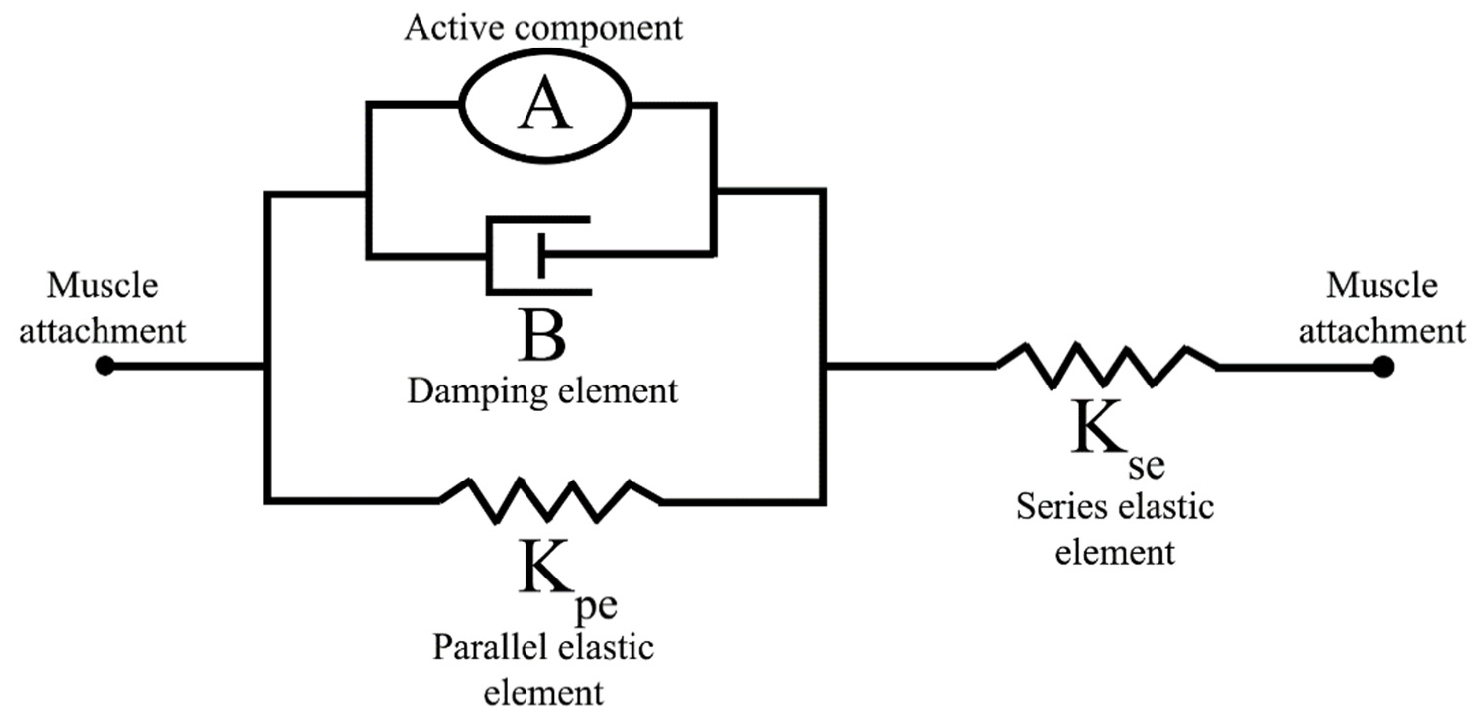 Biomimetics 07 00017 g002 Biomimetics 07 00017 g002