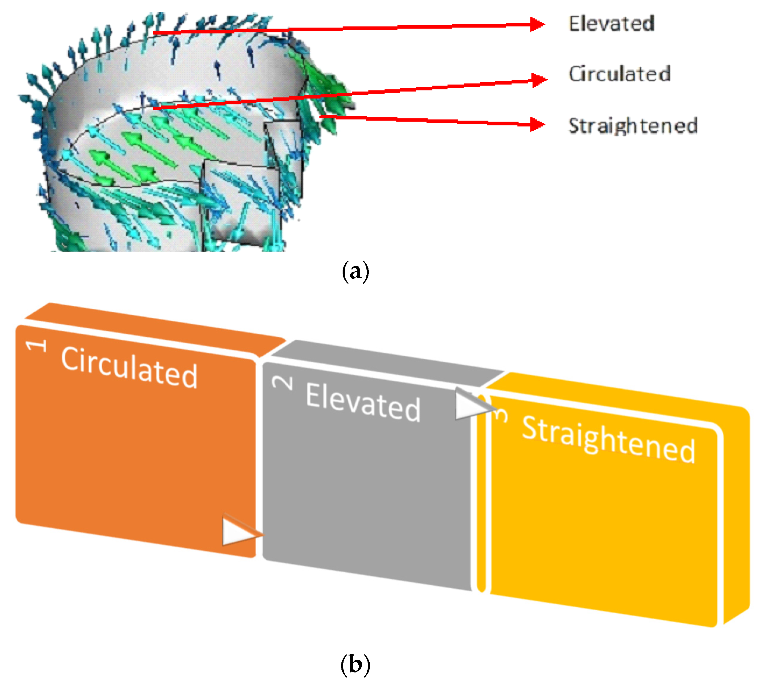 Biomimetics 07 00020 g005