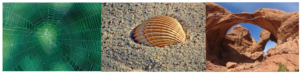 Biomimetics 07 00024 g001