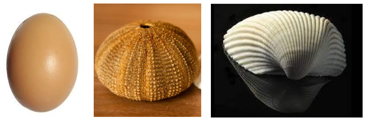 Biomimetics 07 00024 g002