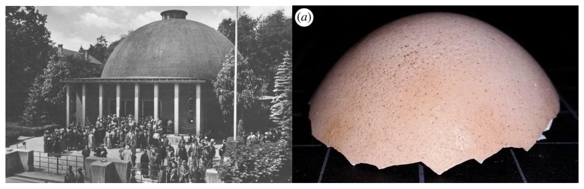 Biomimetics 07 00024 g003