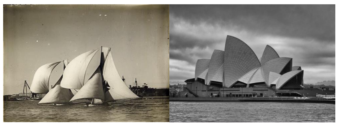 Biomimetics Free Full Text Nature As A Source Of Inspiration For The Structure Of The Sydney Opera House Html