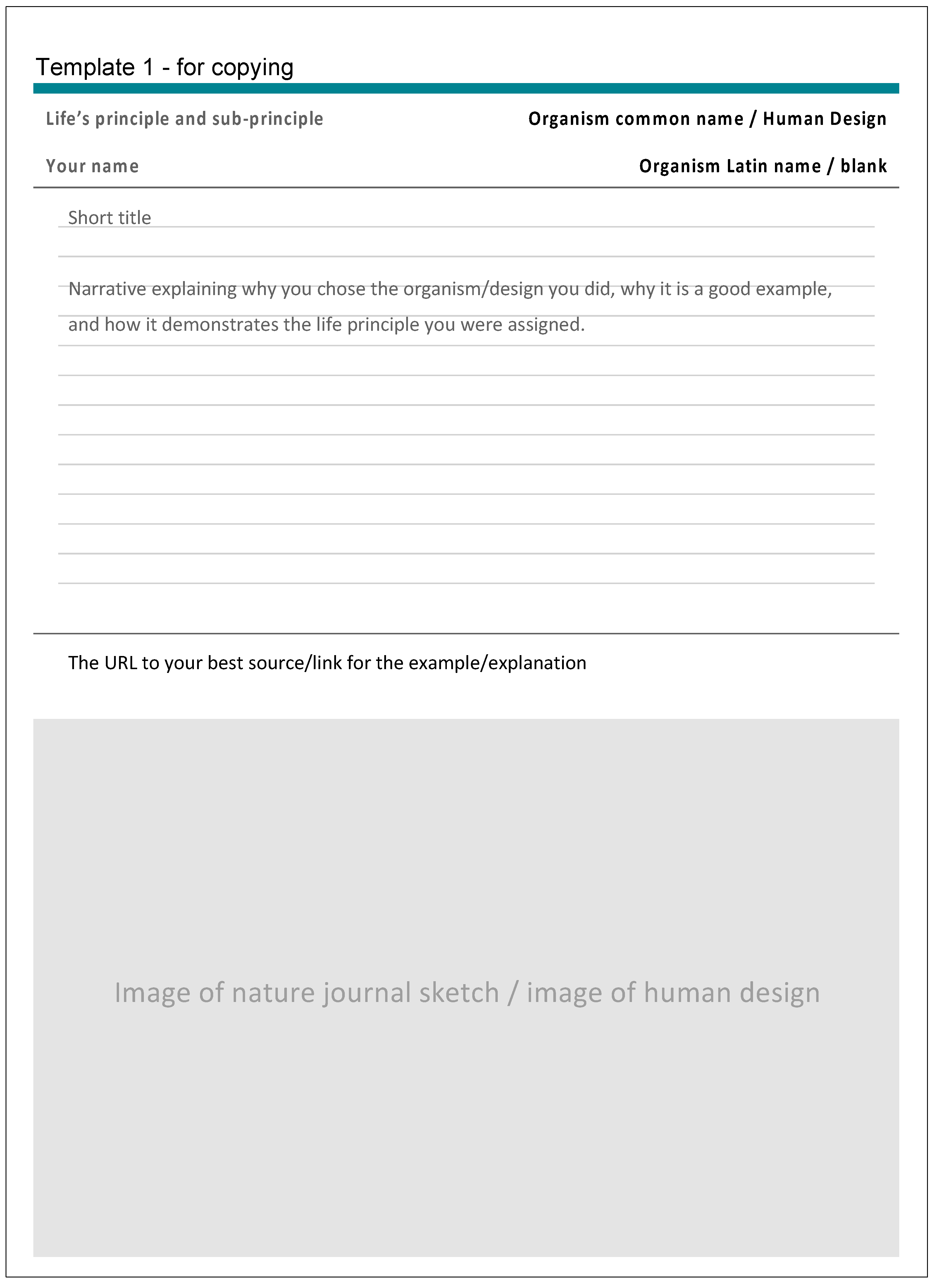 Biomimetics 07 00025 g003