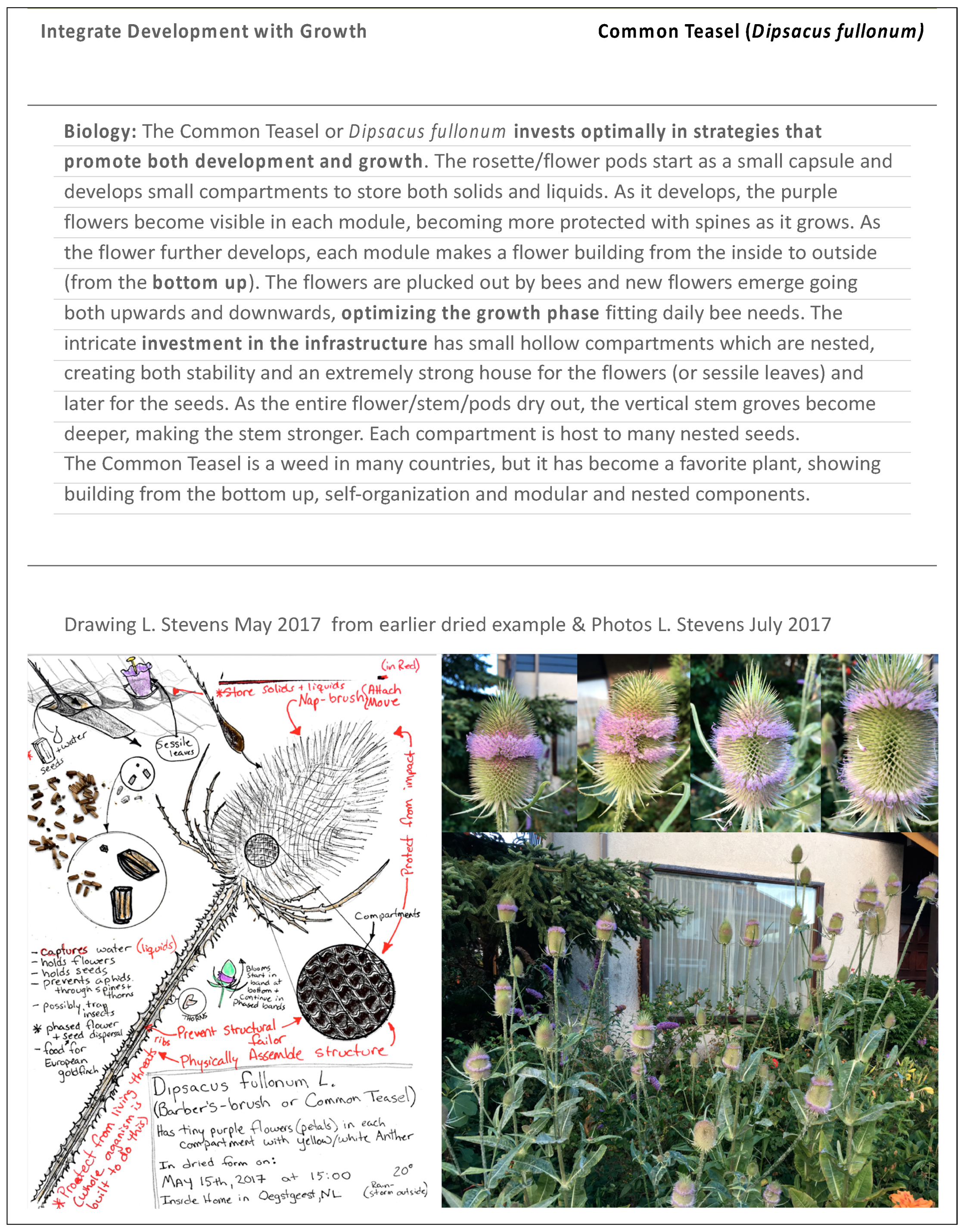 Biomimetics 07 00025 g004