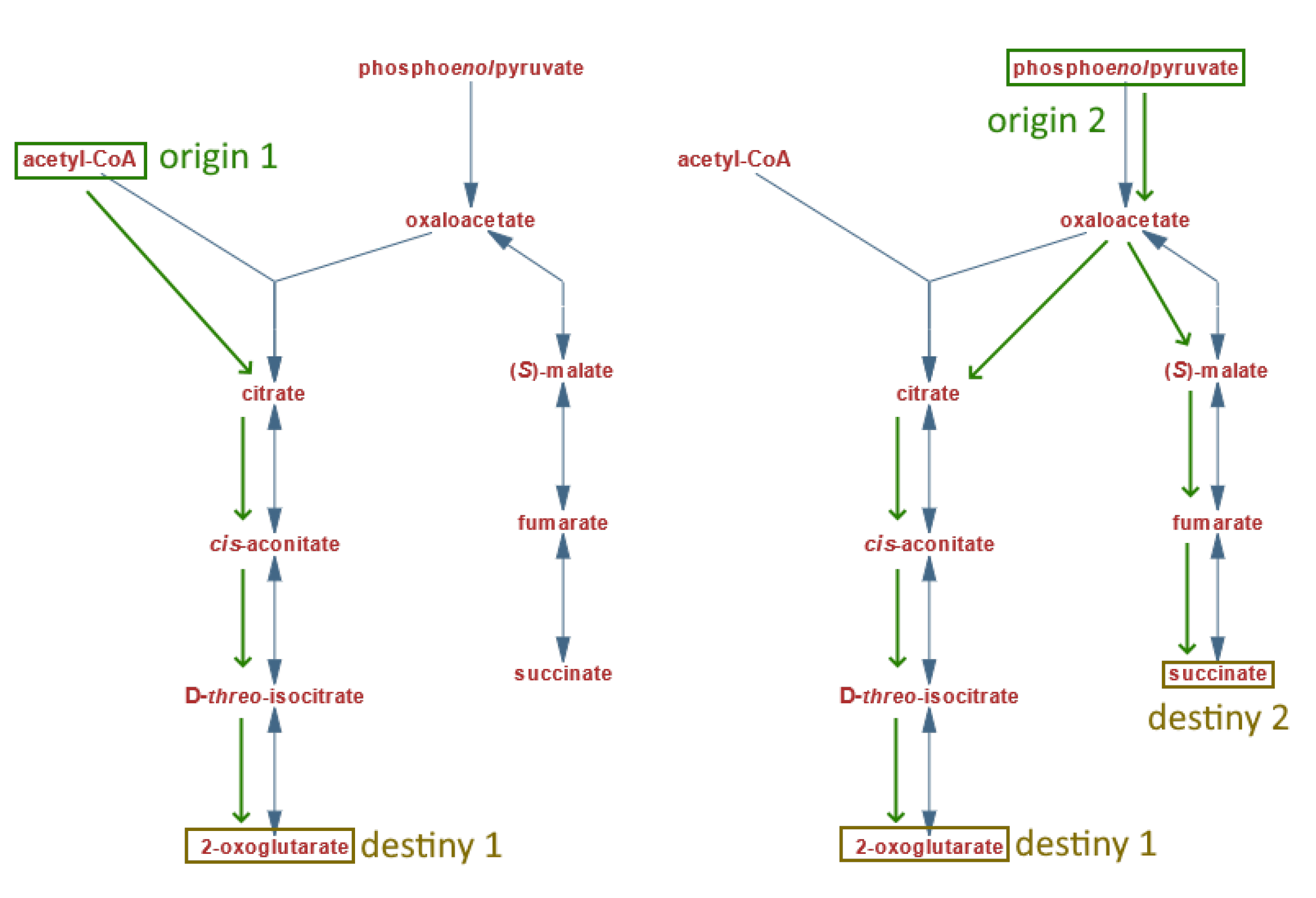 Biomimetics 07 00027 g009 Biomimetics 07 00027 g009