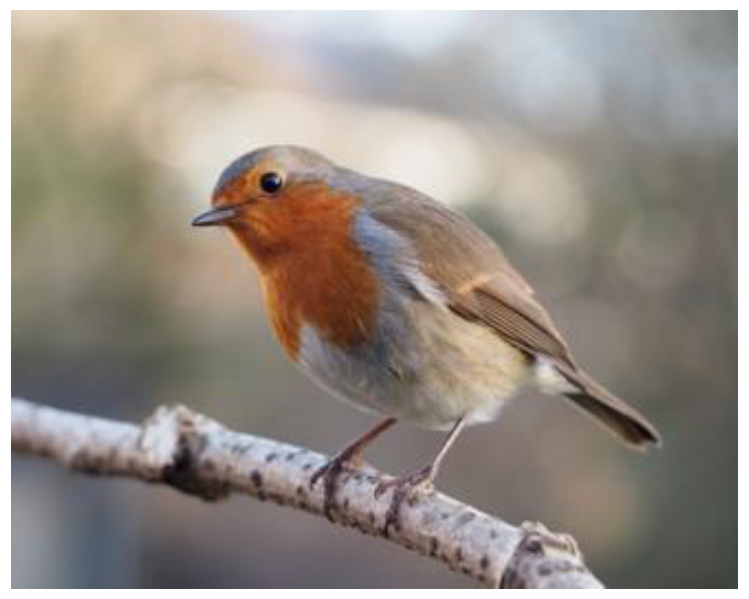 Biomimetics 07 00029 g001 550