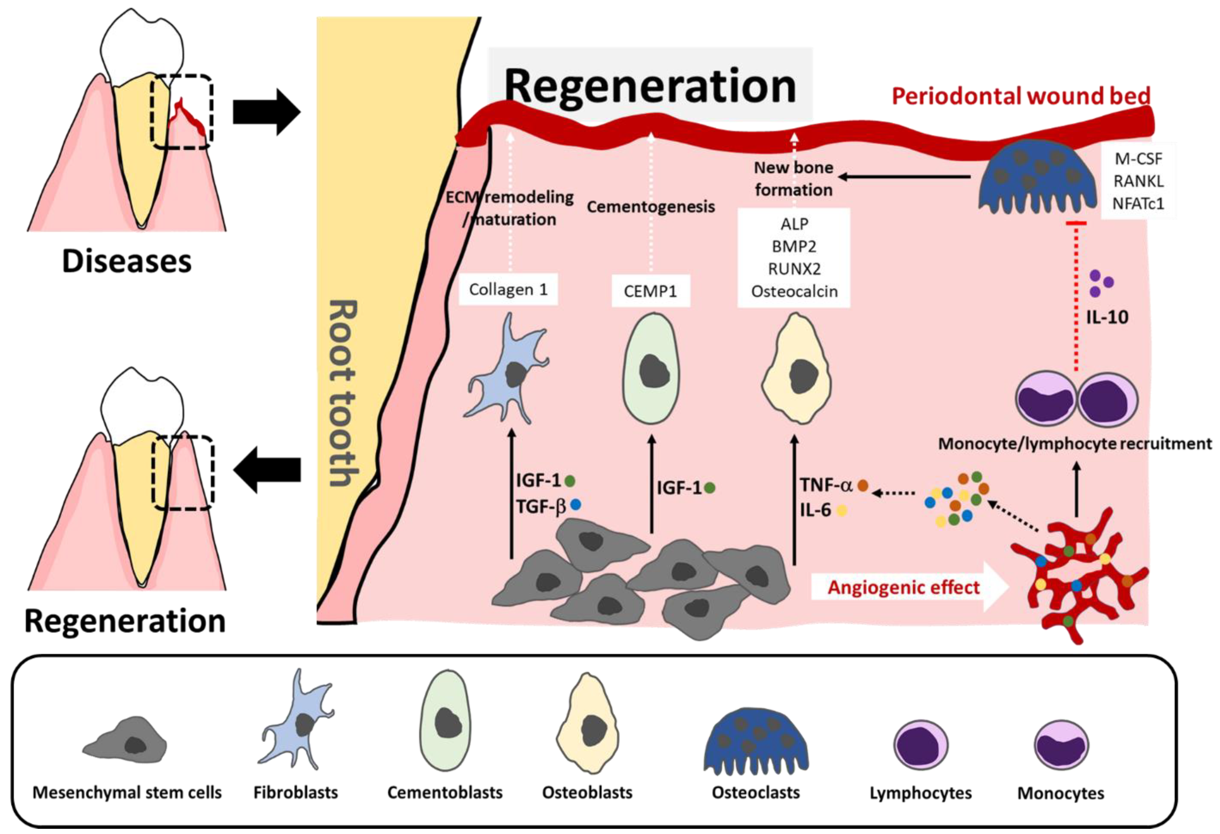Biomimetics 07 00034 g001 Biomimetics 07 00034 g001