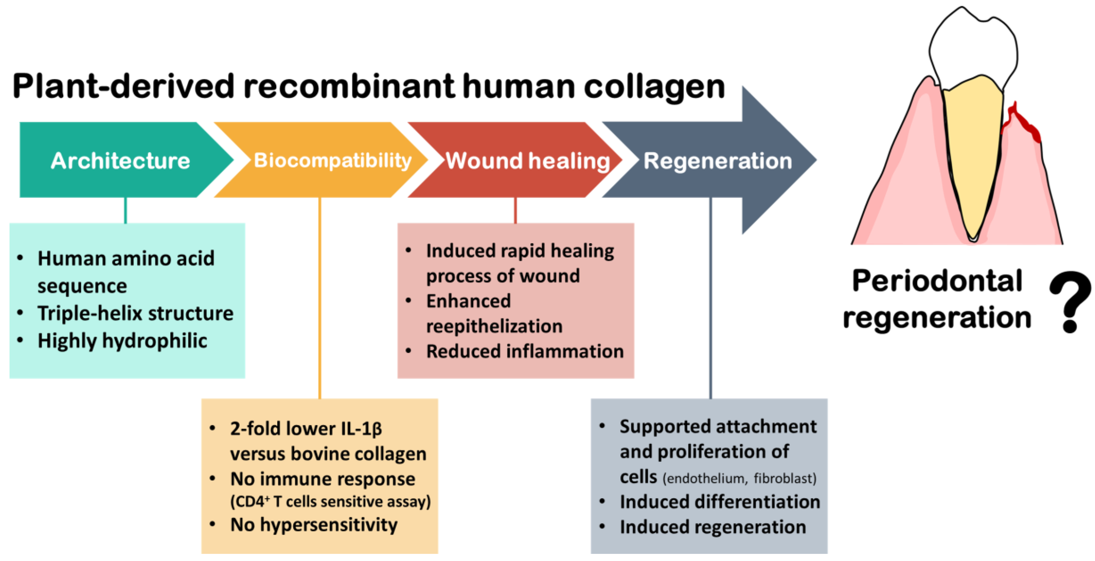Biomimetics 07 00034 g003 Biomimetics 07 00034 g003