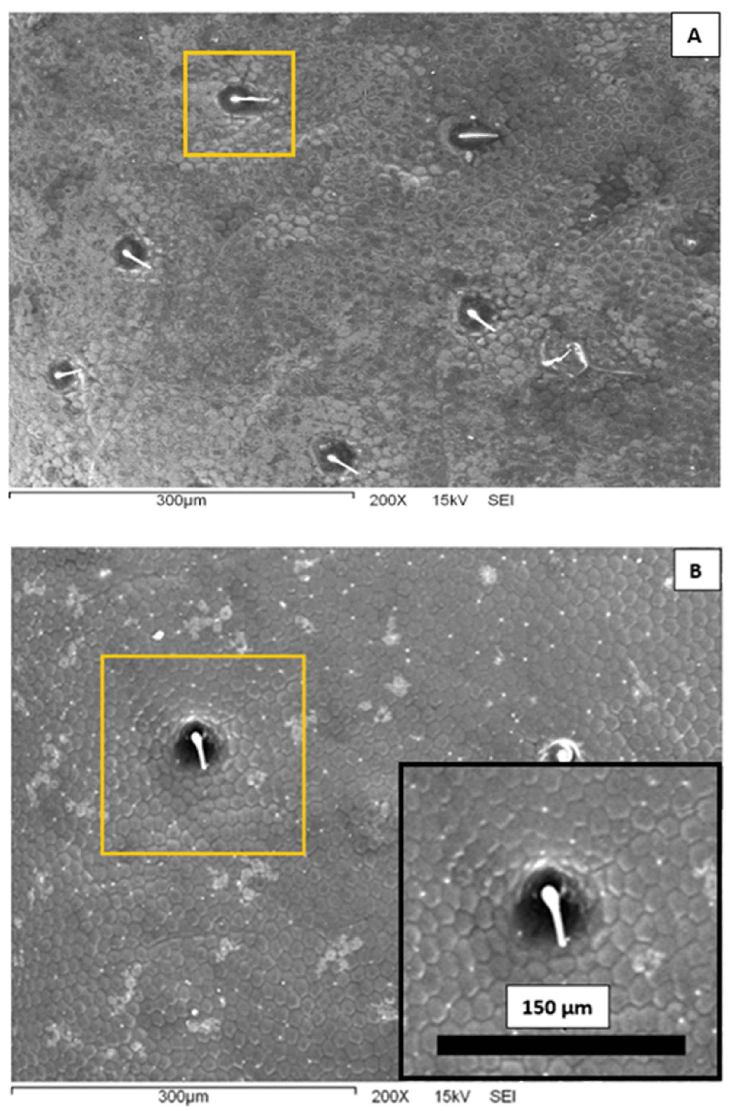 Biomimetics 07 00038 g003 550