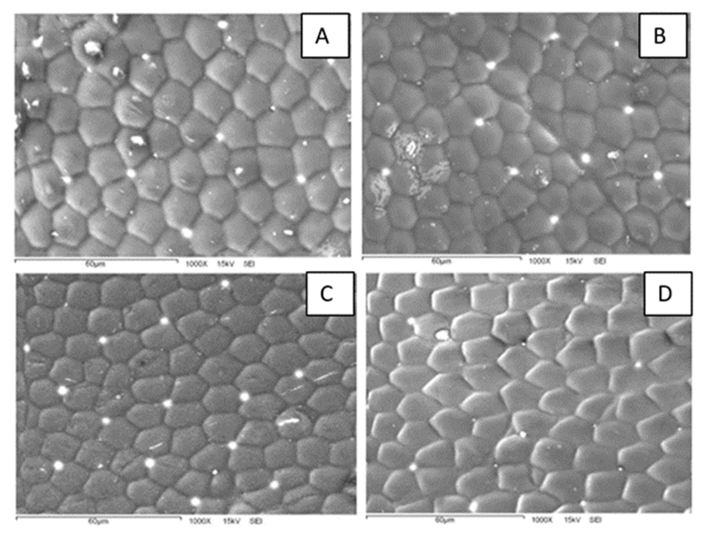 Biomimetics 07 00038 g004 550