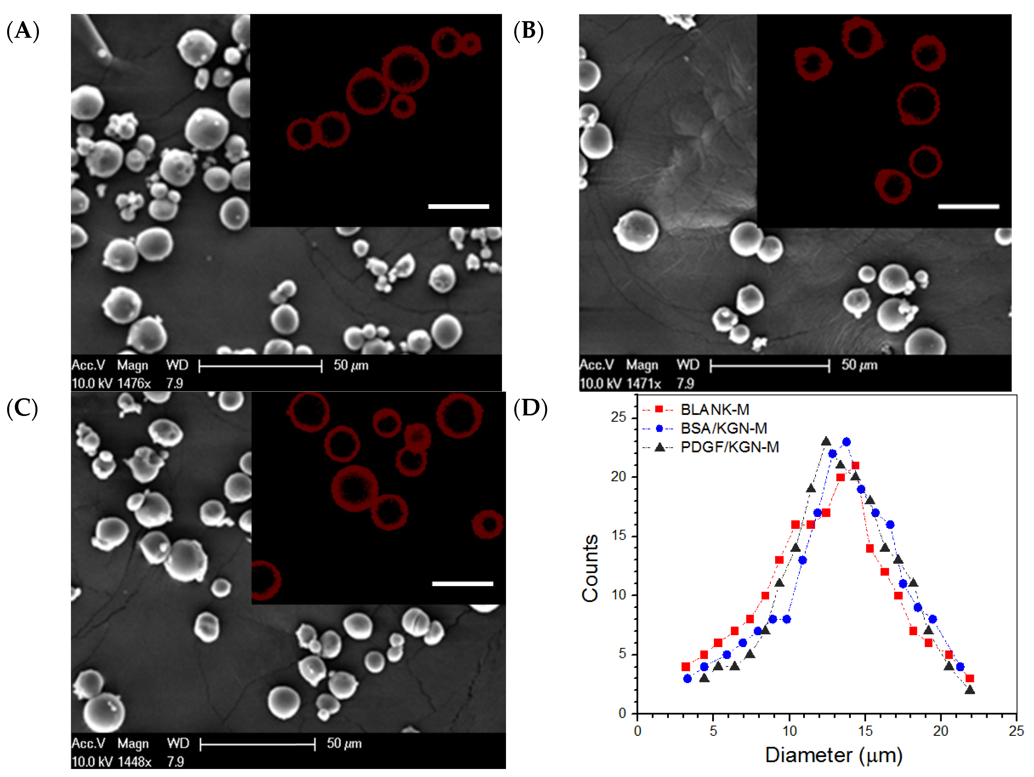 Biomimetics Free Full Text Strong And Elastic Chitosan Silk Fibroin Hydrogels Incorporated With Growth Factor Loaded Microspheres For Cartilage Tissue Engineering Html