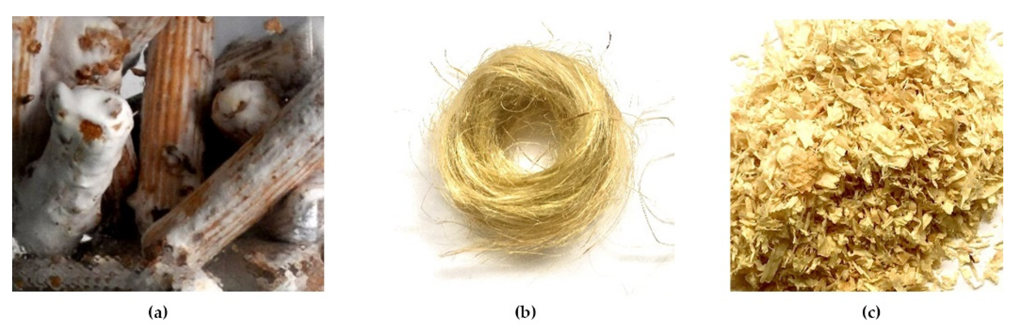 Biomimetics 07 00042 g003