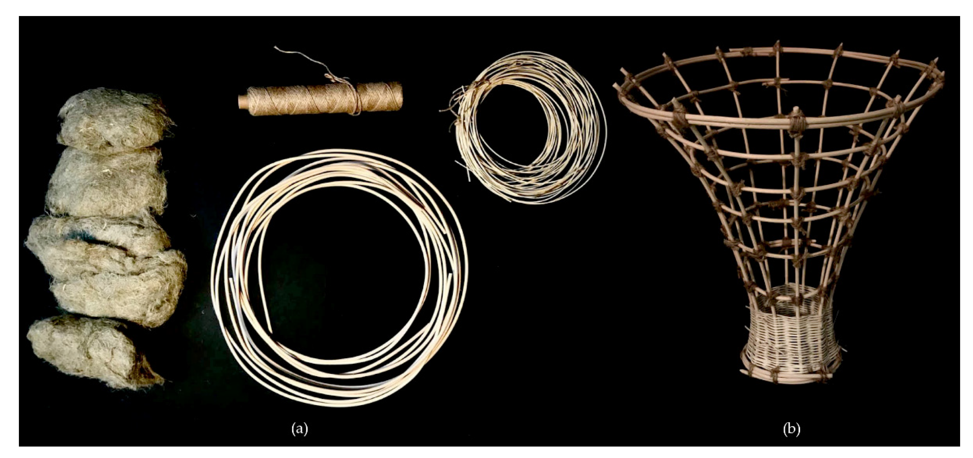 Biomimetics 07 00042 g011