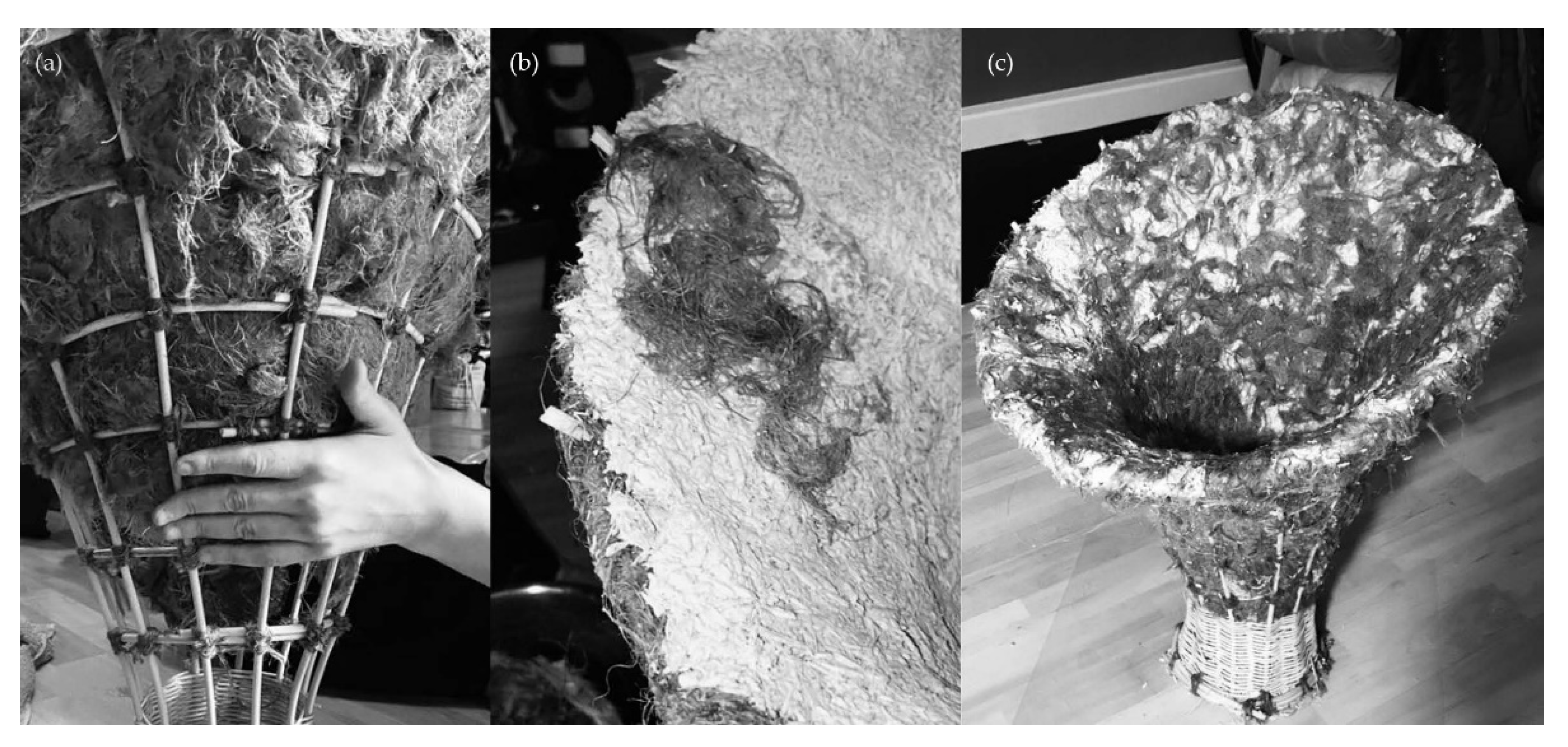 Biomimetics 07 00042 g012