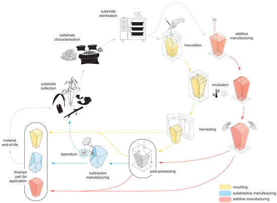 Biomimetics Free Full Text Challenges And Opportunities In Scaling Up Architectural Applications Of Mycelium Based Materials With Digital Fabrication Html