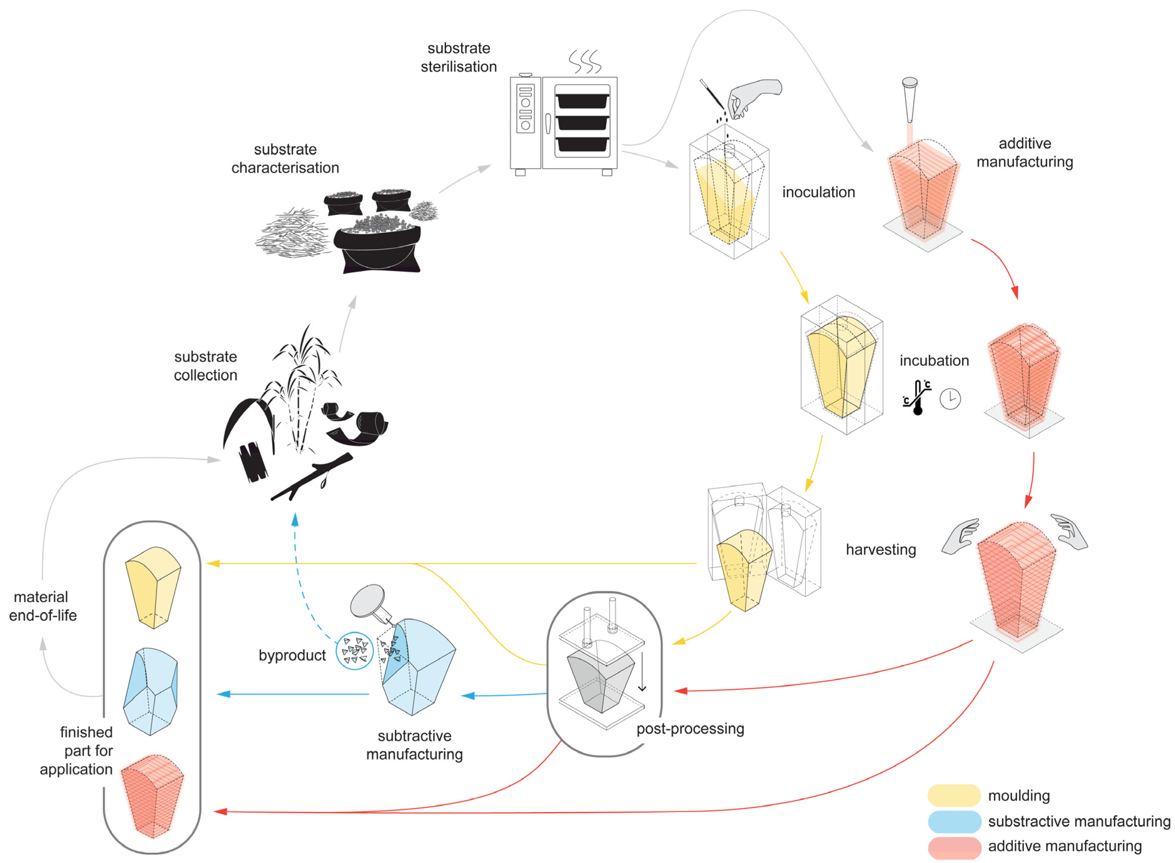 Biomimetics 07 00044 g001 550
