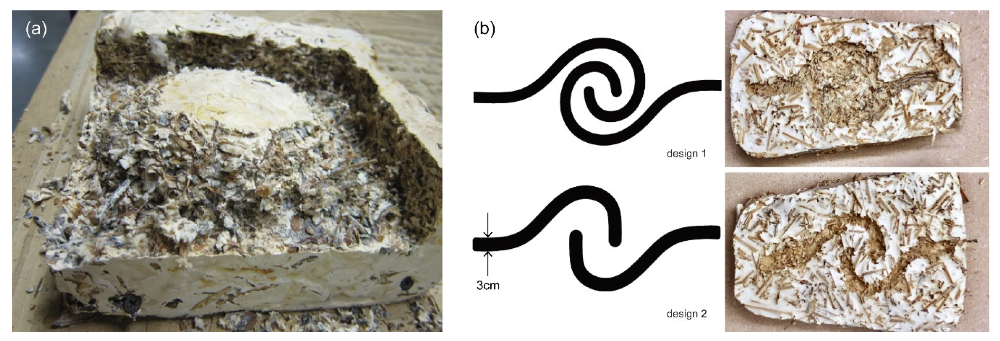 Biomimetics 07 00044 g004