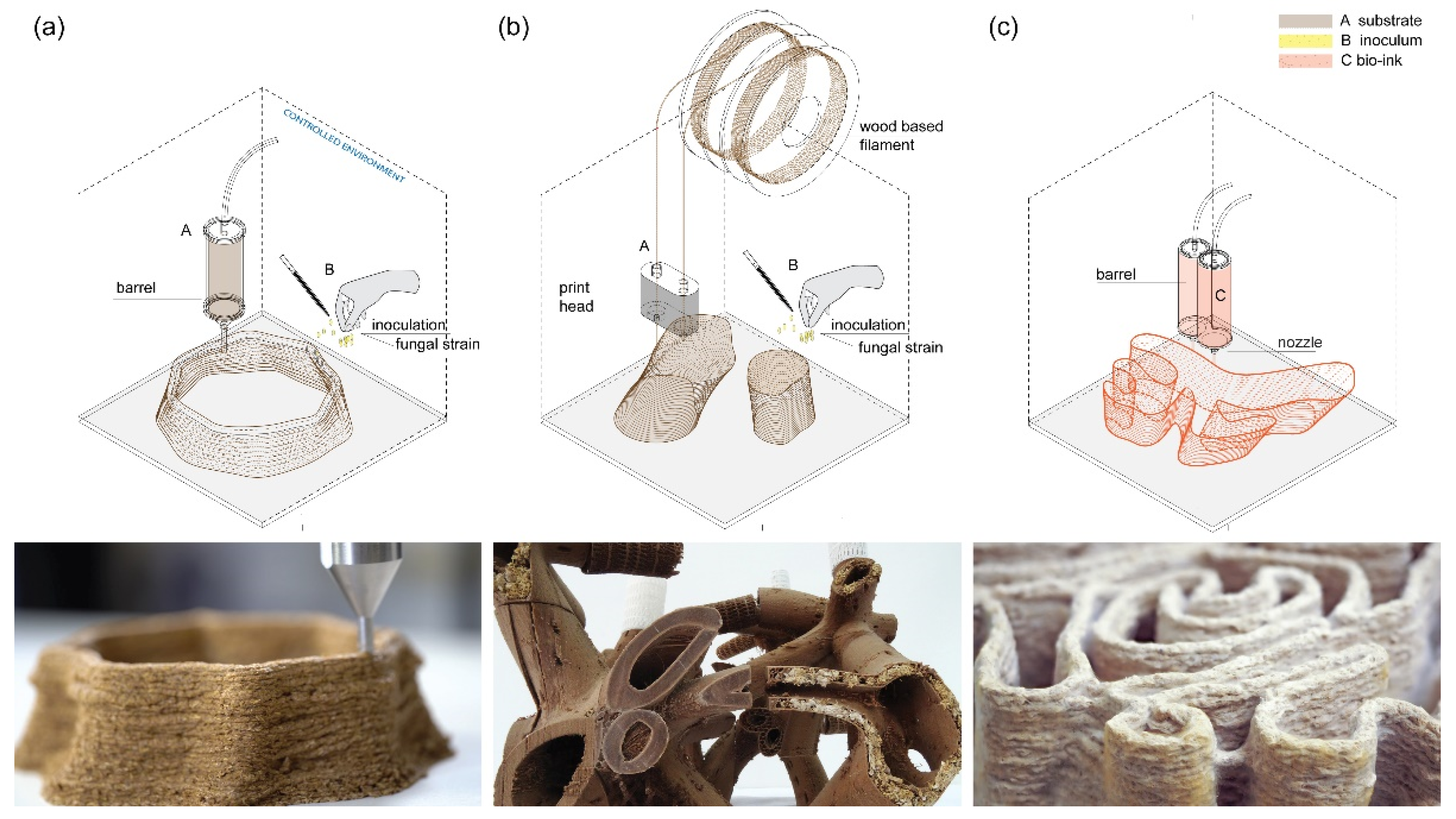 Biomimetics 07 00044 g005