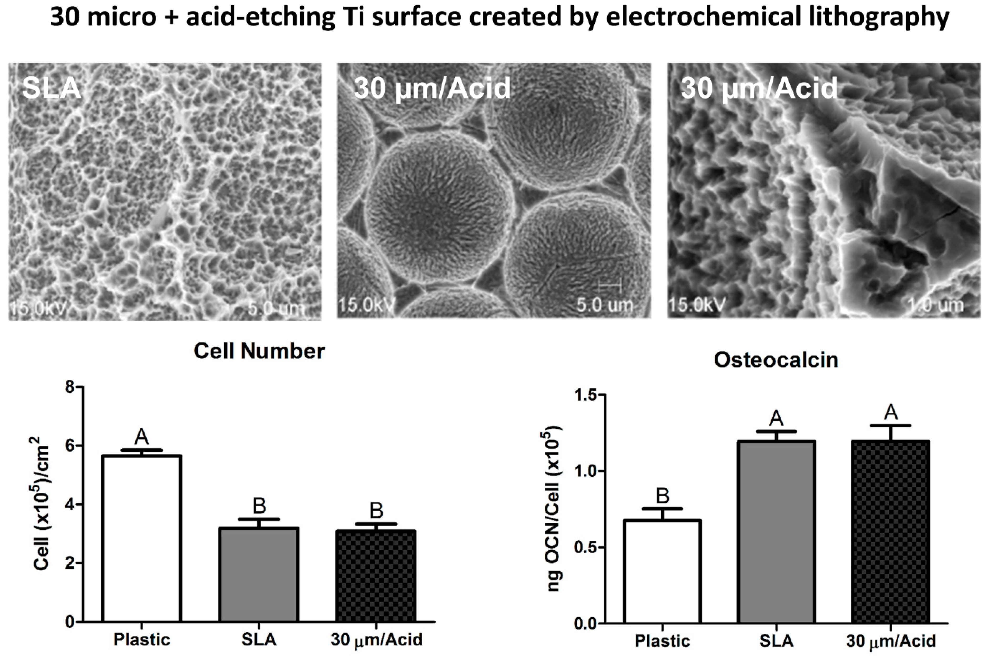 Biomimetics 07 00046 g001
