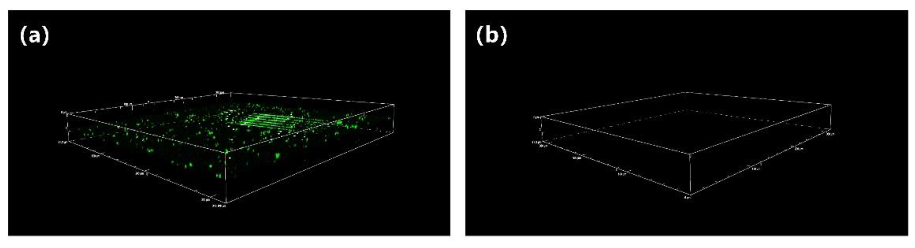 Biomimetics 07 00050 g004