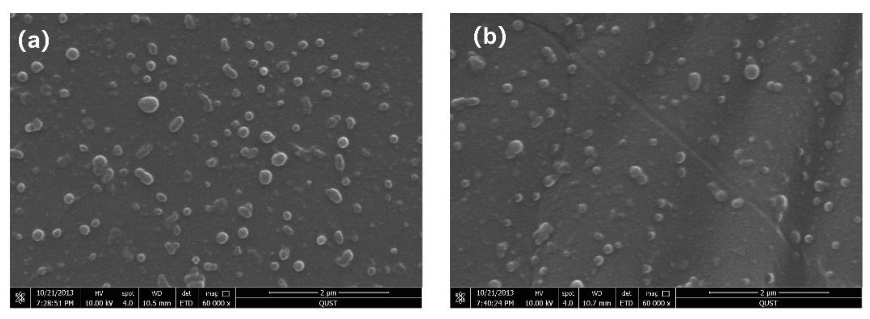 Biomimetics 07 00050 g005