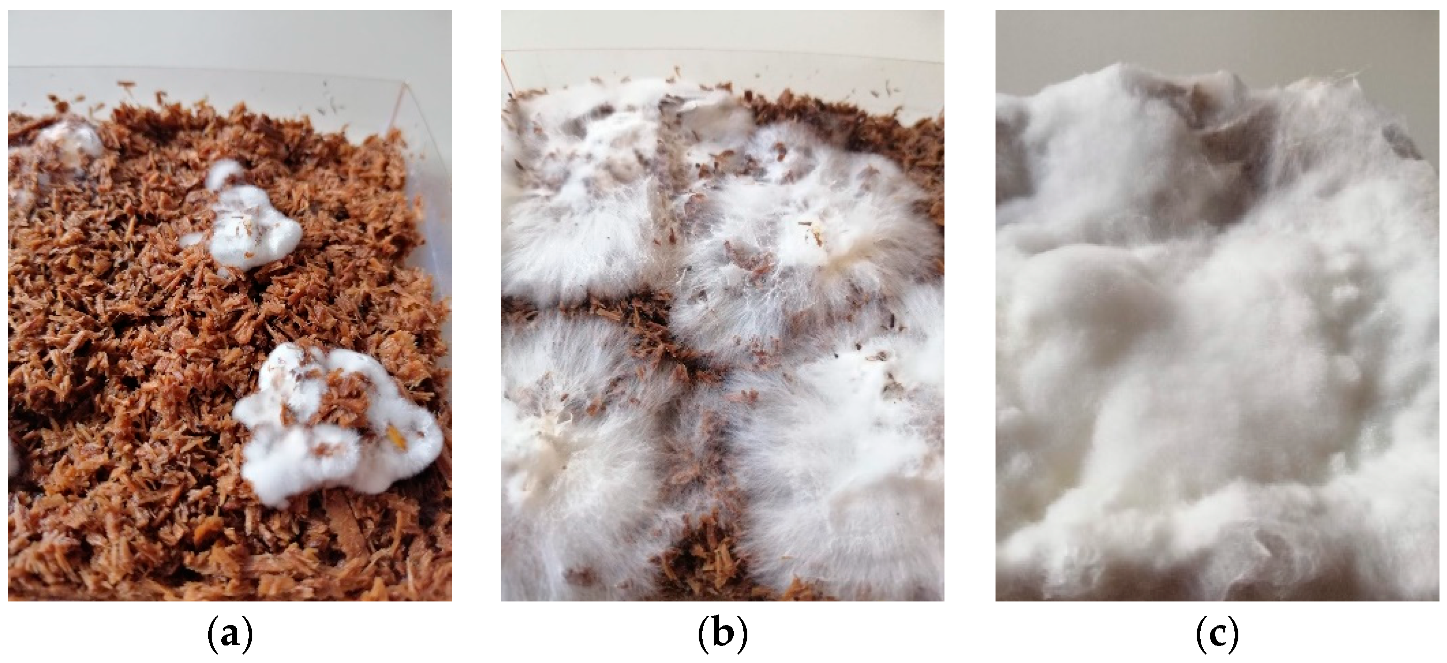 Biomimetics 07 00051 g003 550