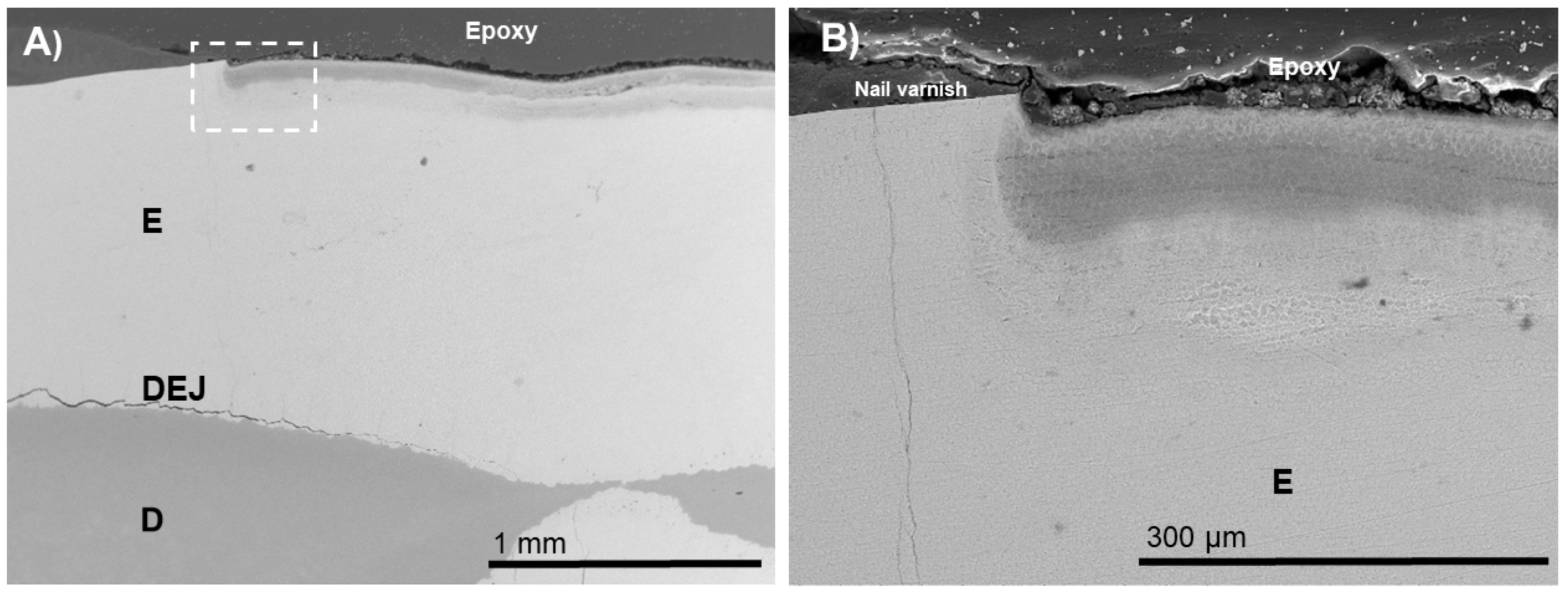 Biomimetics 07 00054 g004