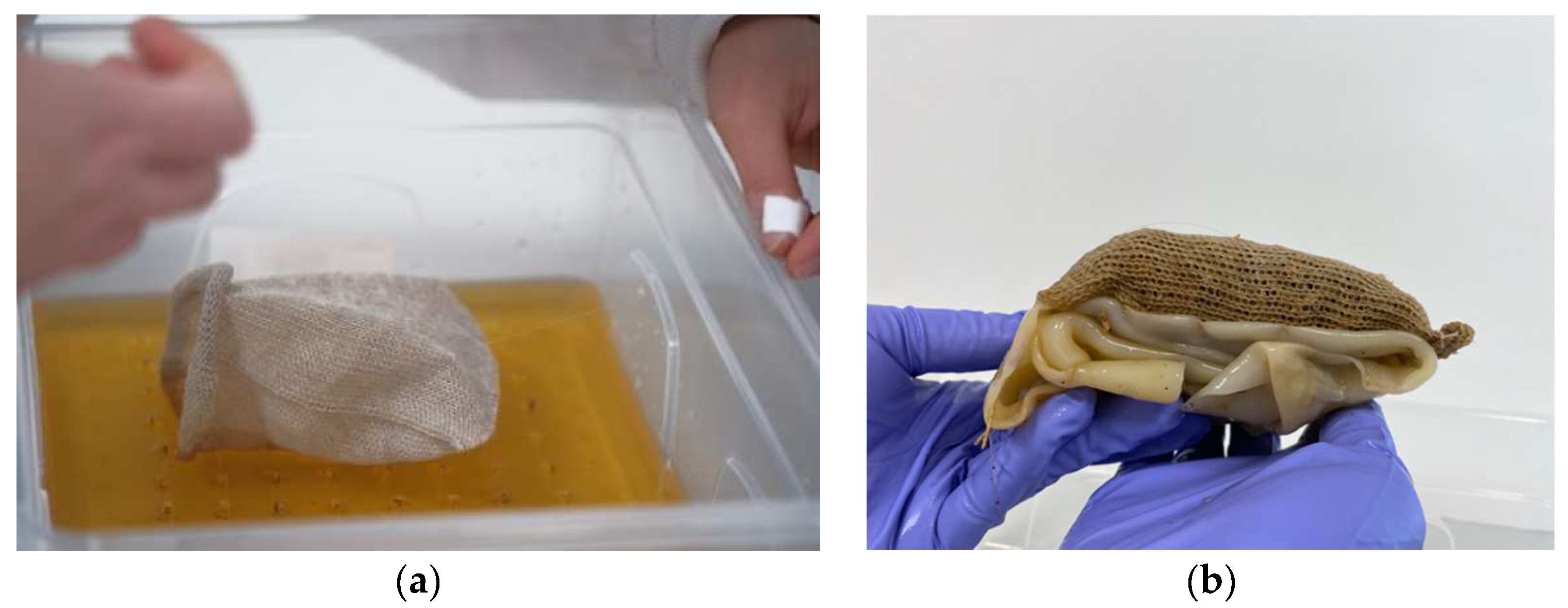 Biomimetics 07 00055 g003 550