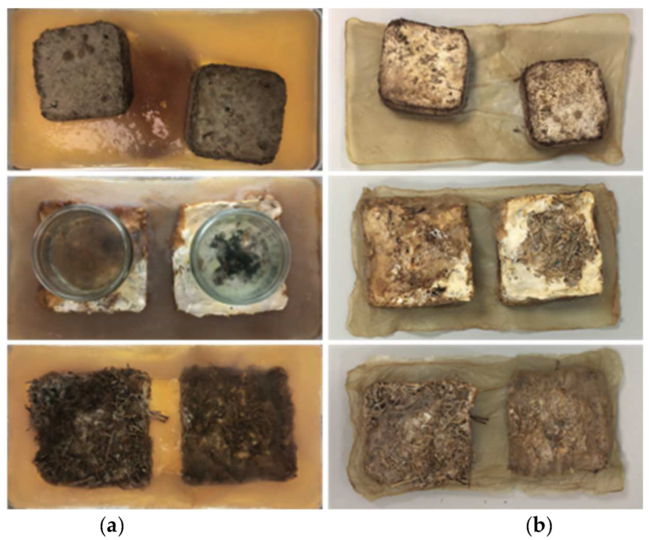 Biomimetics 07 00055 g007 550