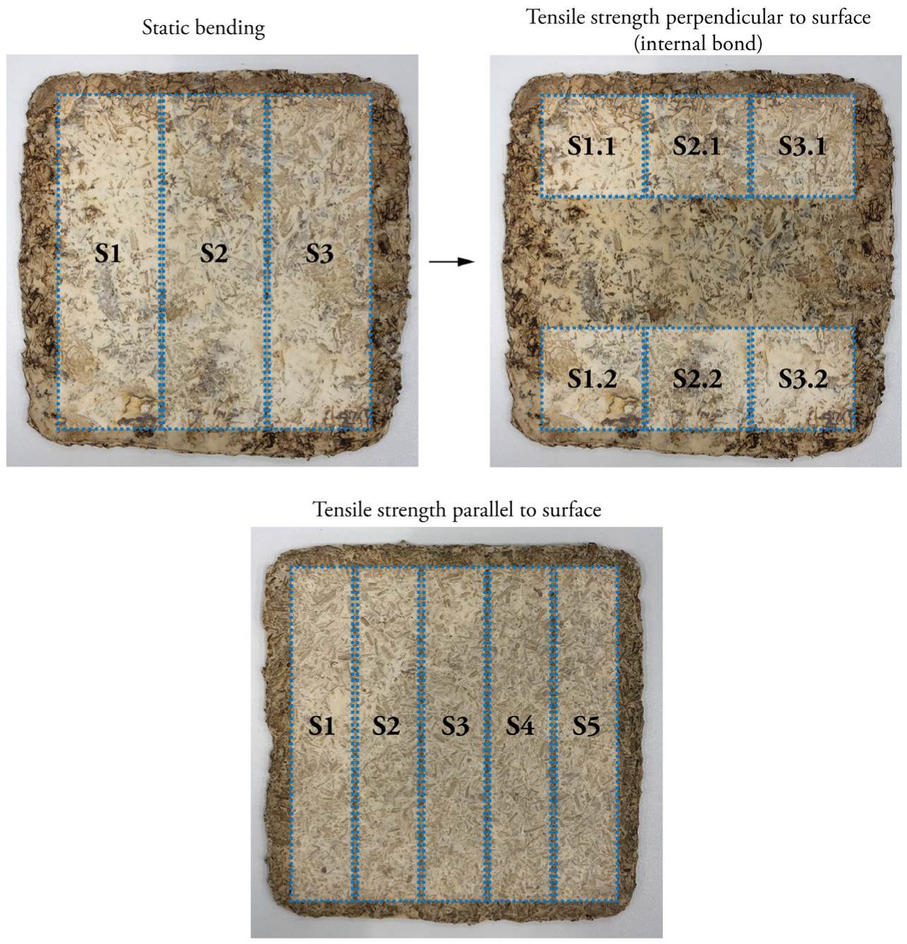 Biomimetics 07 00057 g002 550