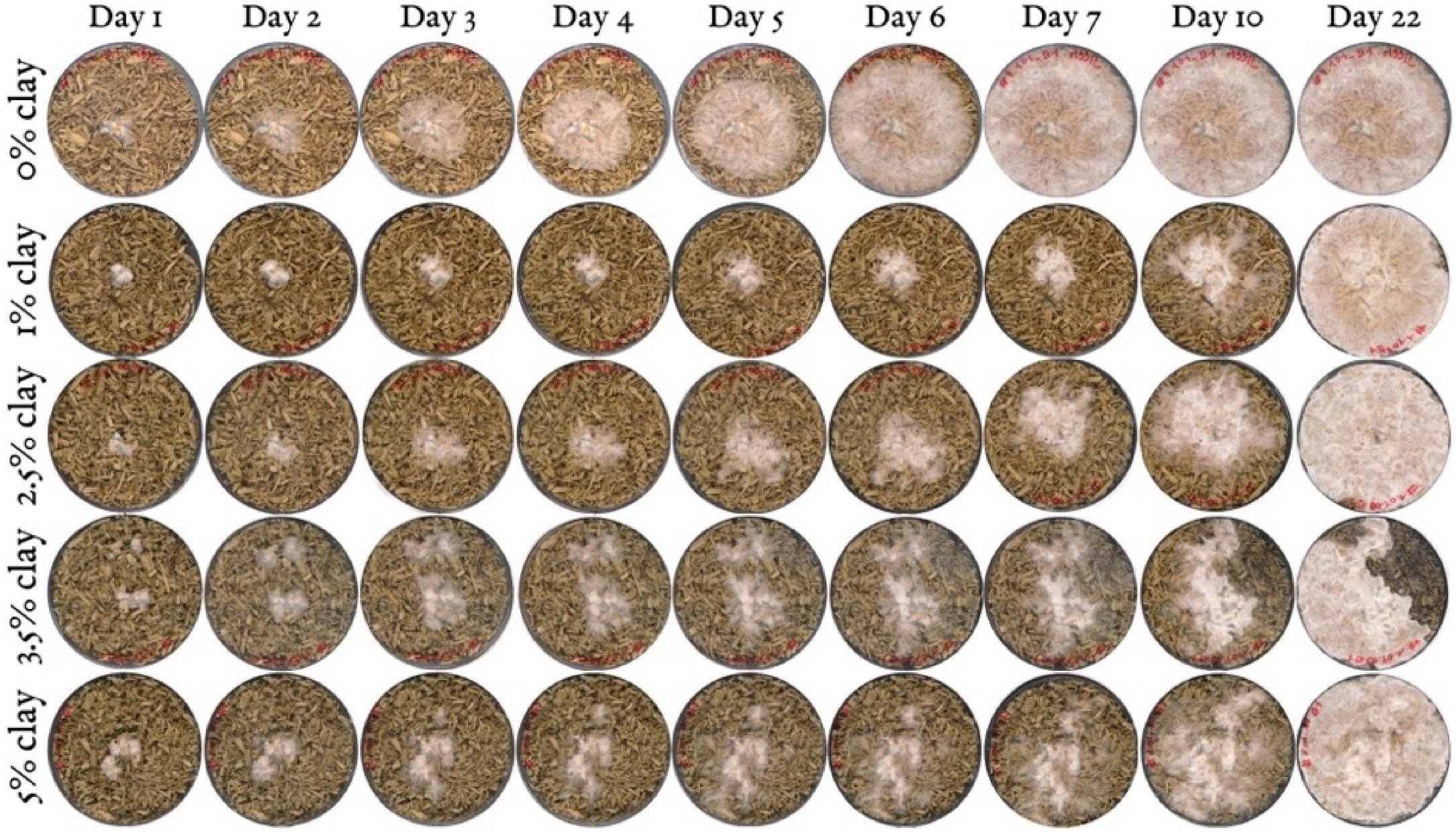 Biomimetics 07 00057 g004 550