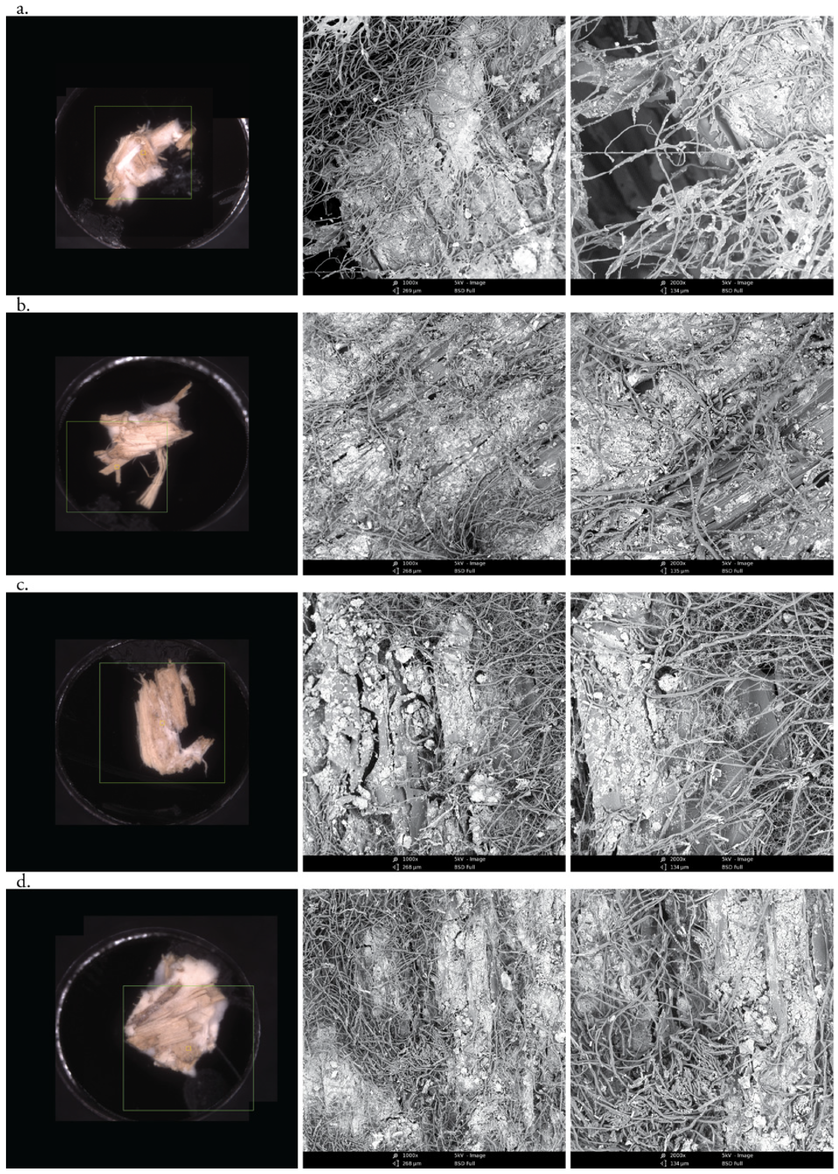 Biomimetics 07 00057 g005 550