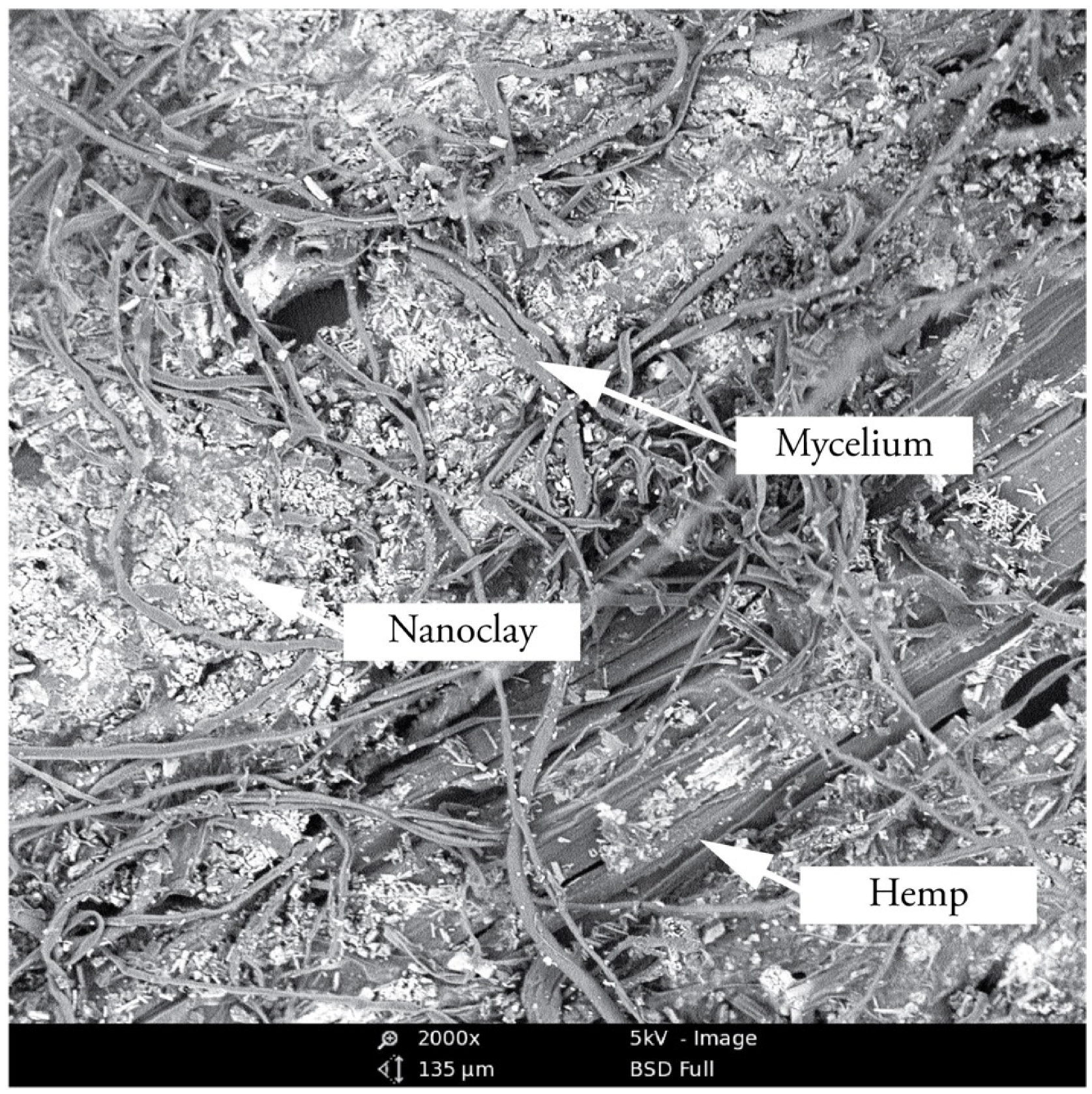 Biomimetics 07 00057 g006 550