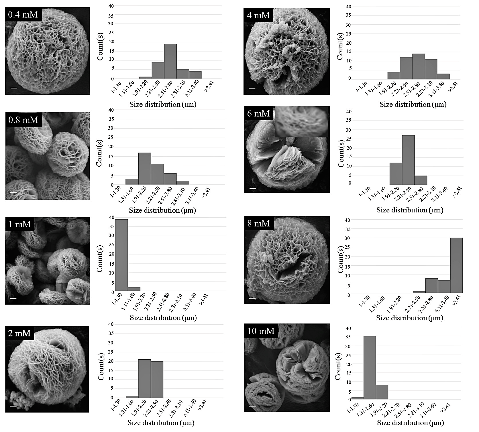 Biomimetics 07 00064 g003