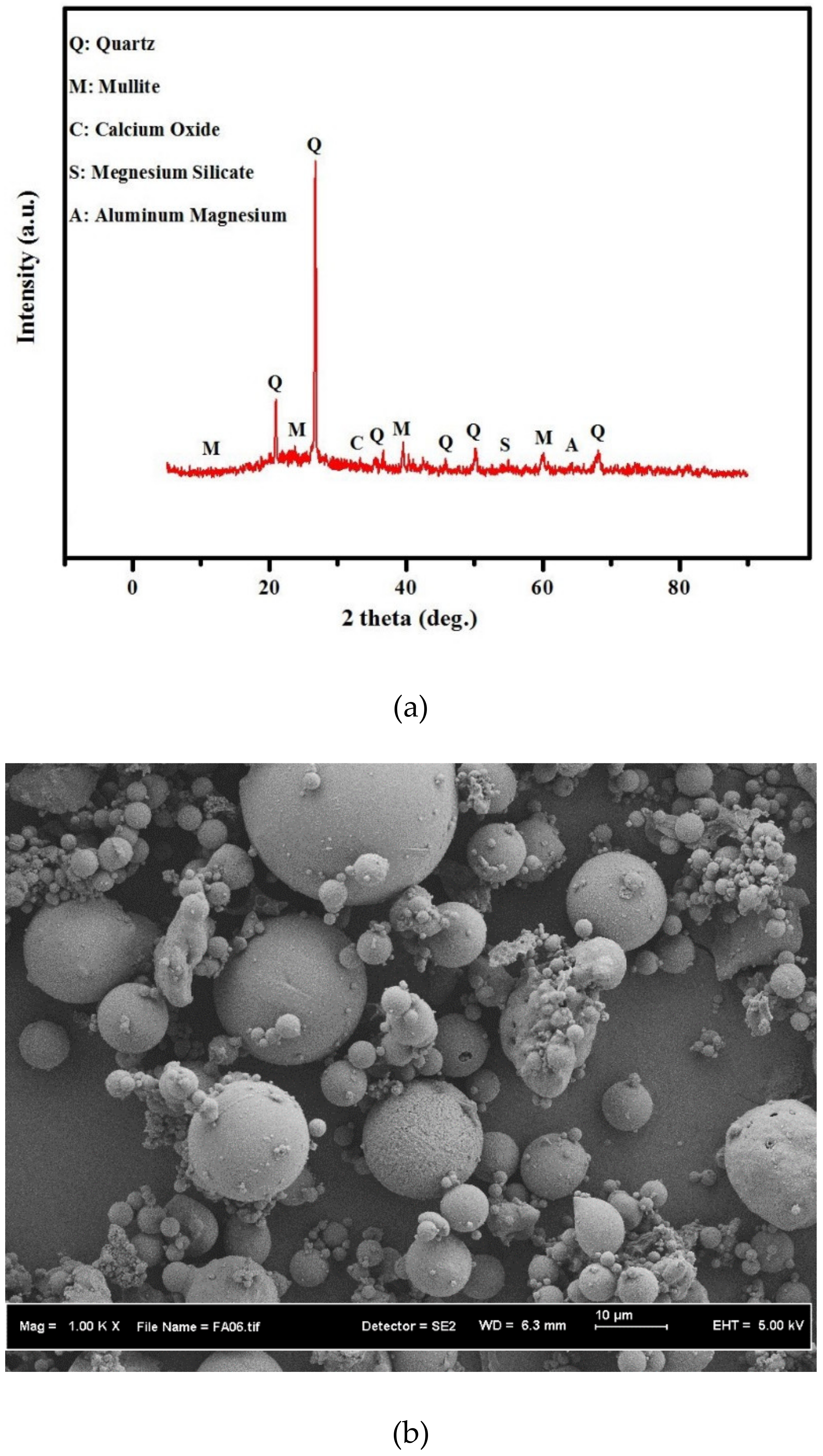 Biomimetics 07 00065 g002