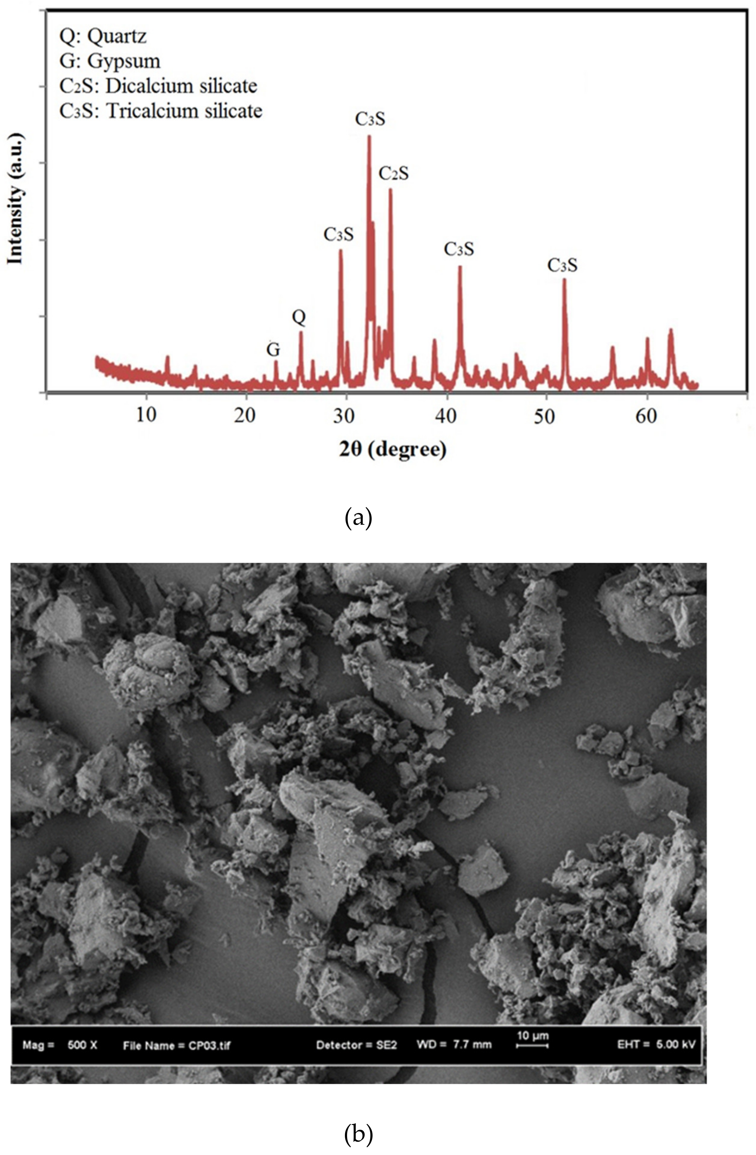 Biomimetics 07 00065 g003