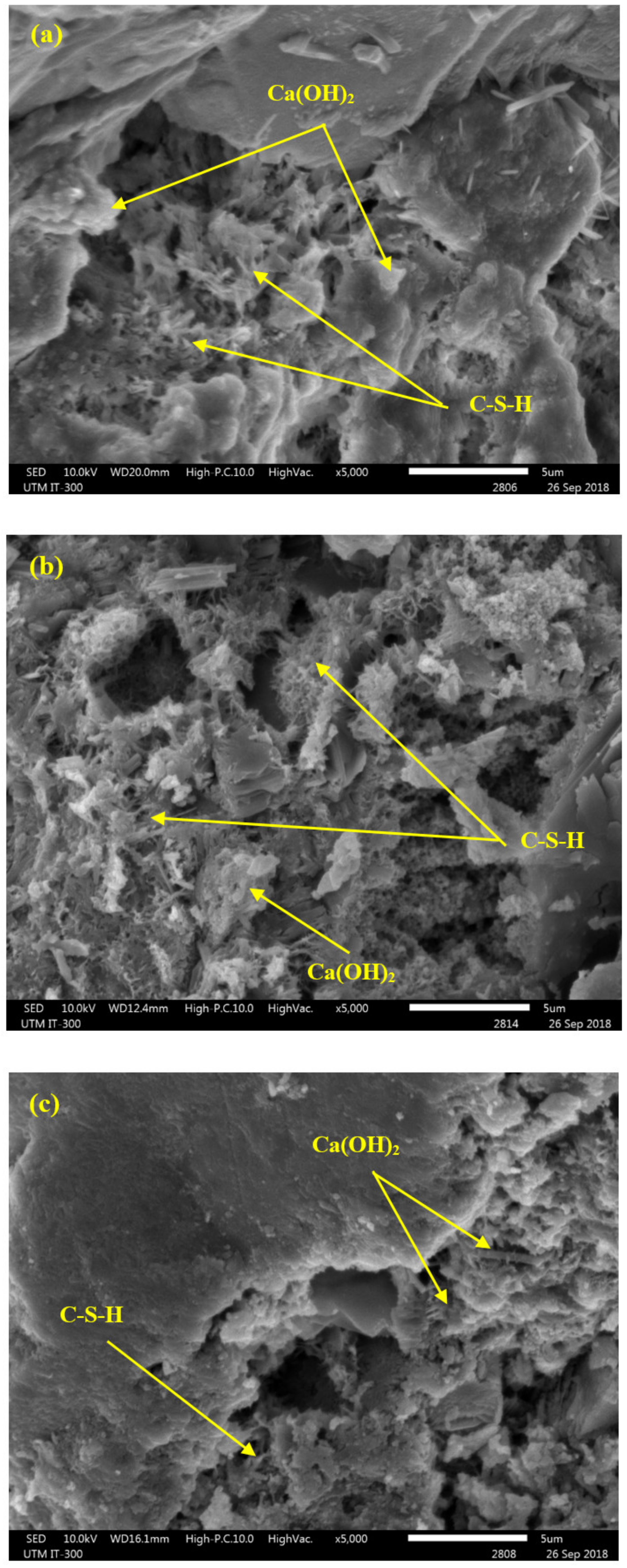 Biomimetics 07 00065 g006