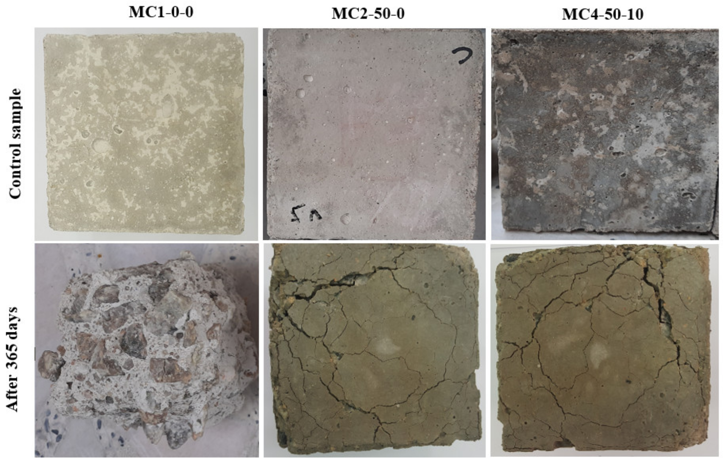 Biomimetics 07 00065 g013