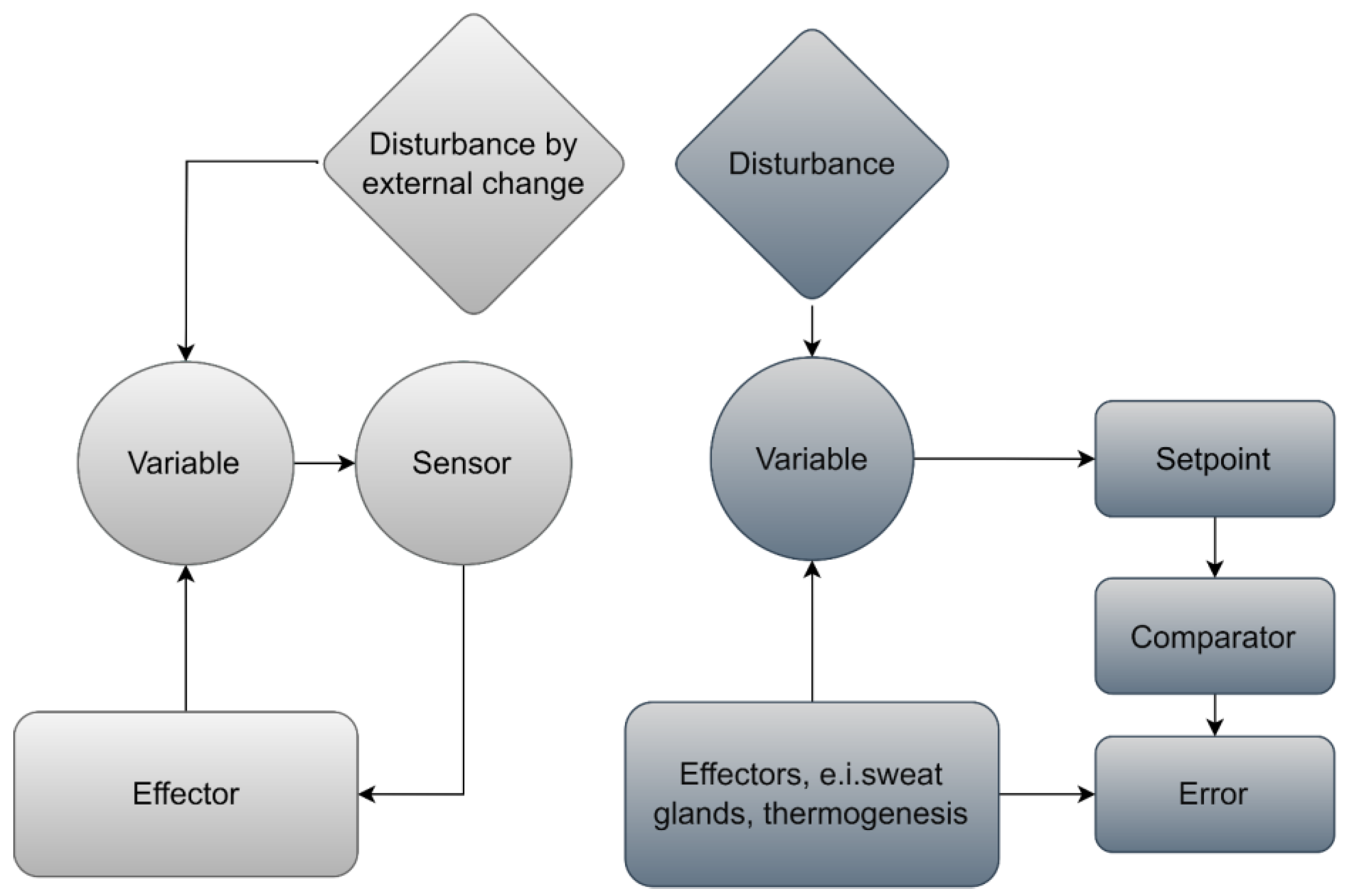 Biomimetics 07 00067 g002 550