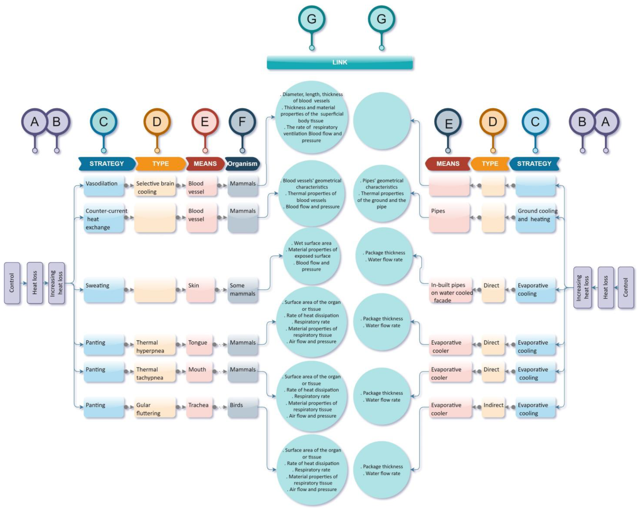 Biomimetics 07 00067 g003 550