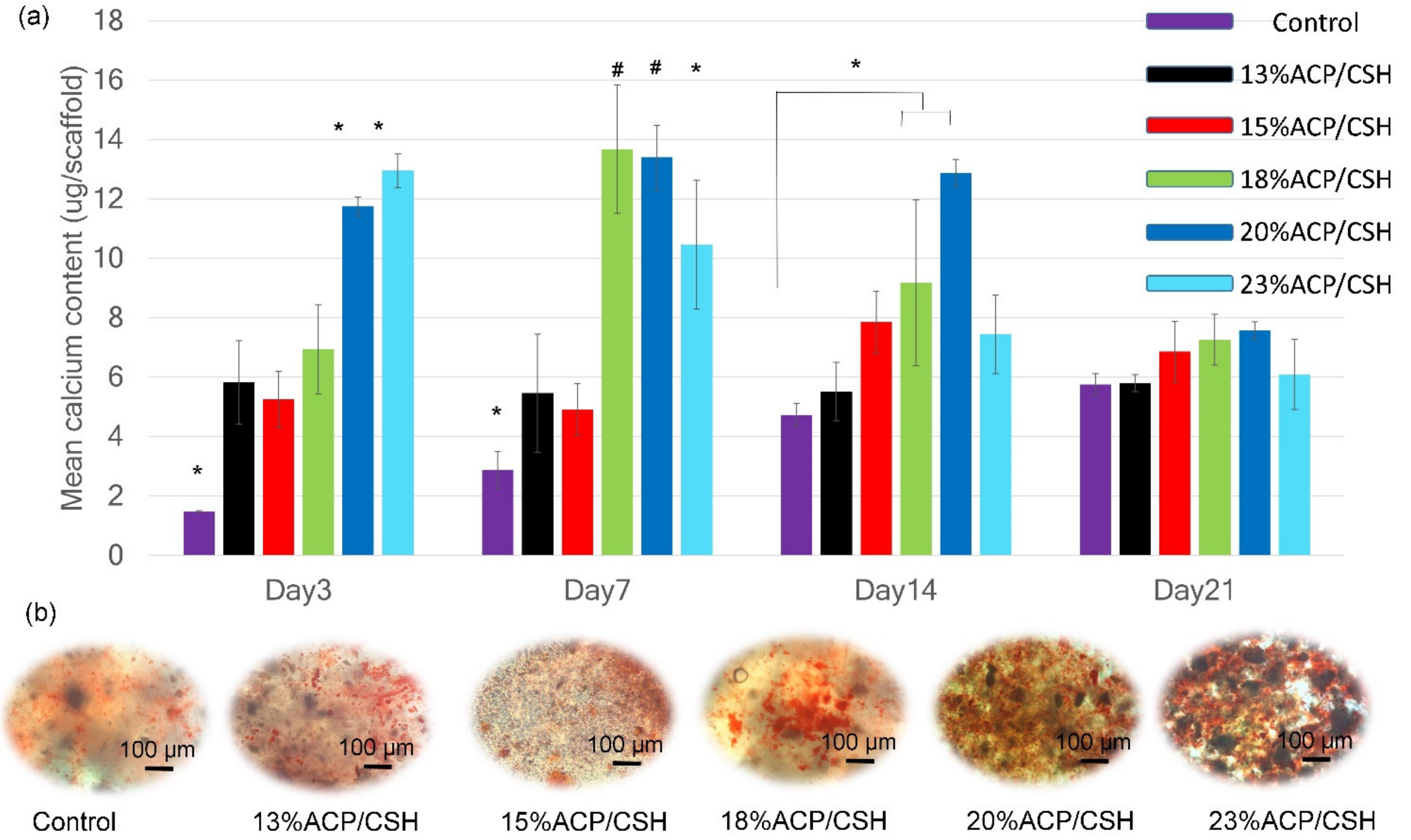 Biomimetics 07 00070 g005