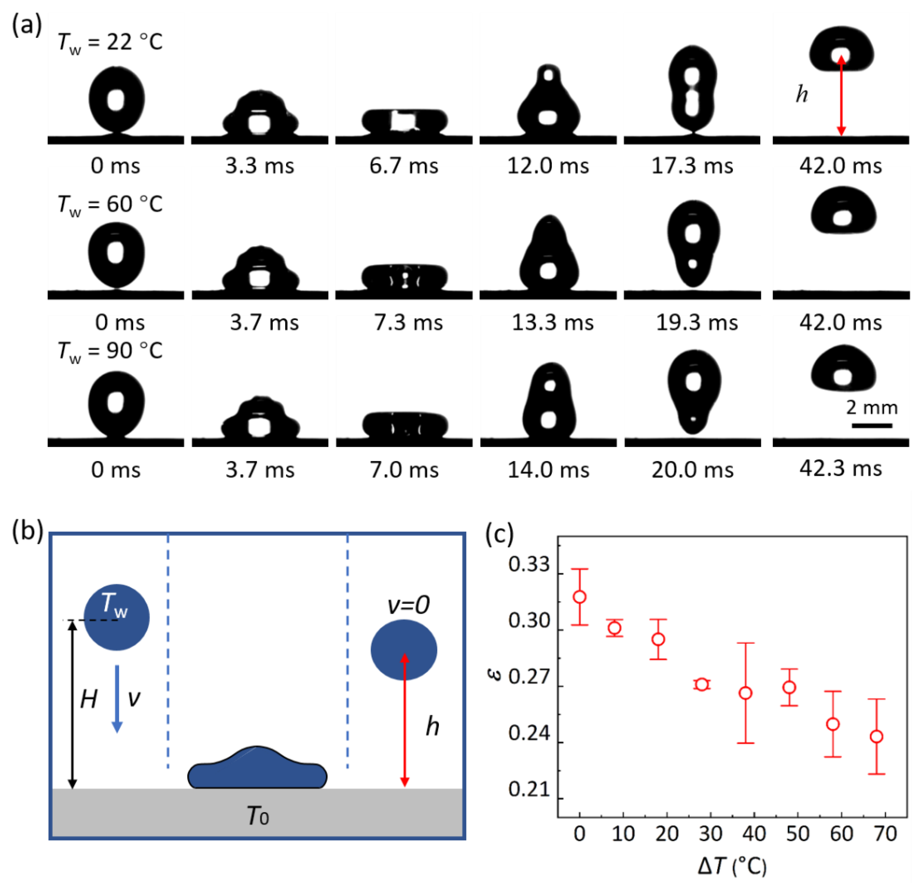 Biomimetics 07 00072 g002