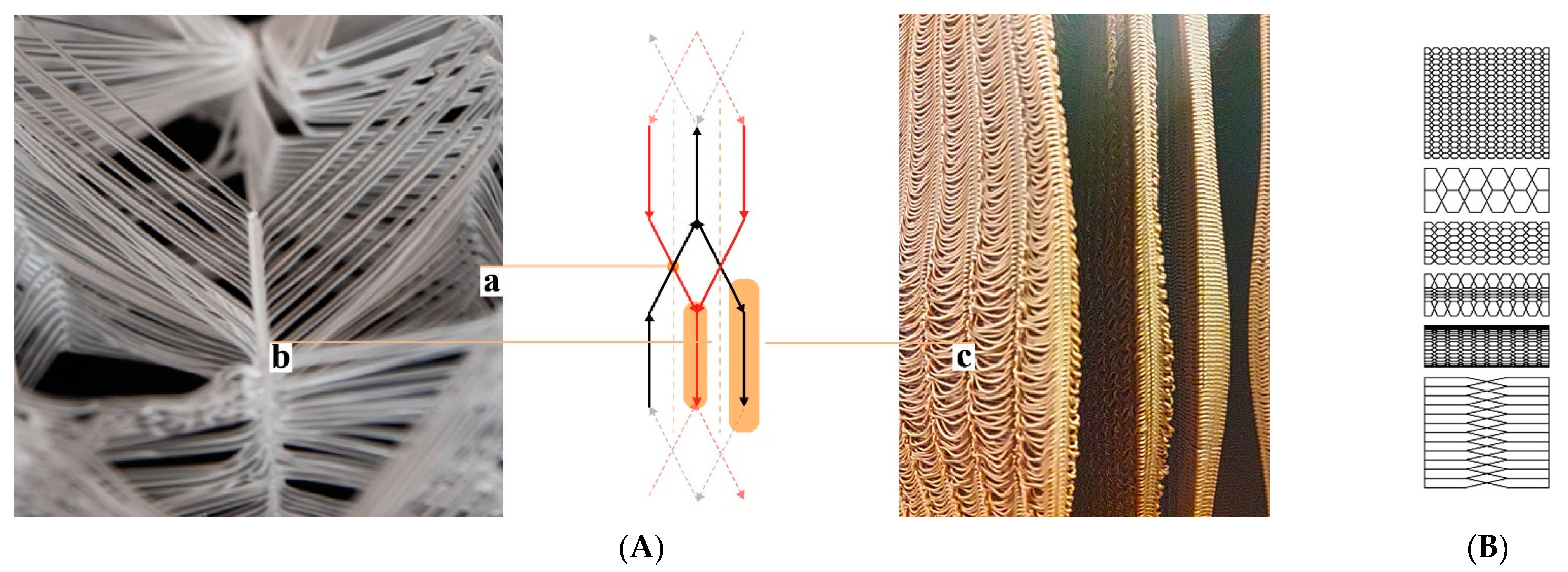 Biomimetics 07 00075 g002