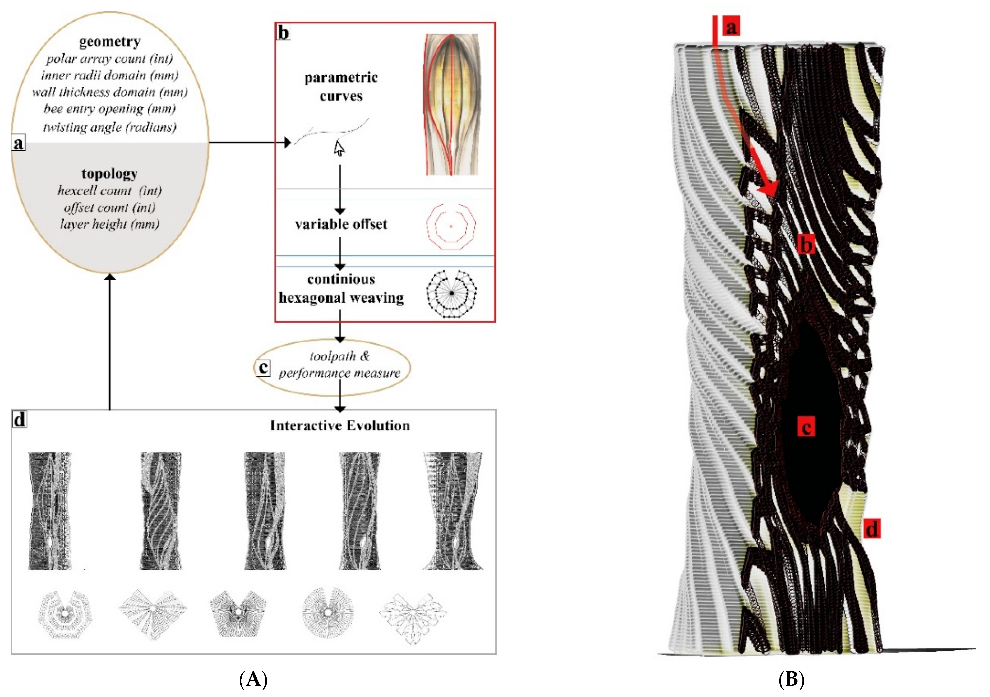 Biomimetics 07 00075 g008