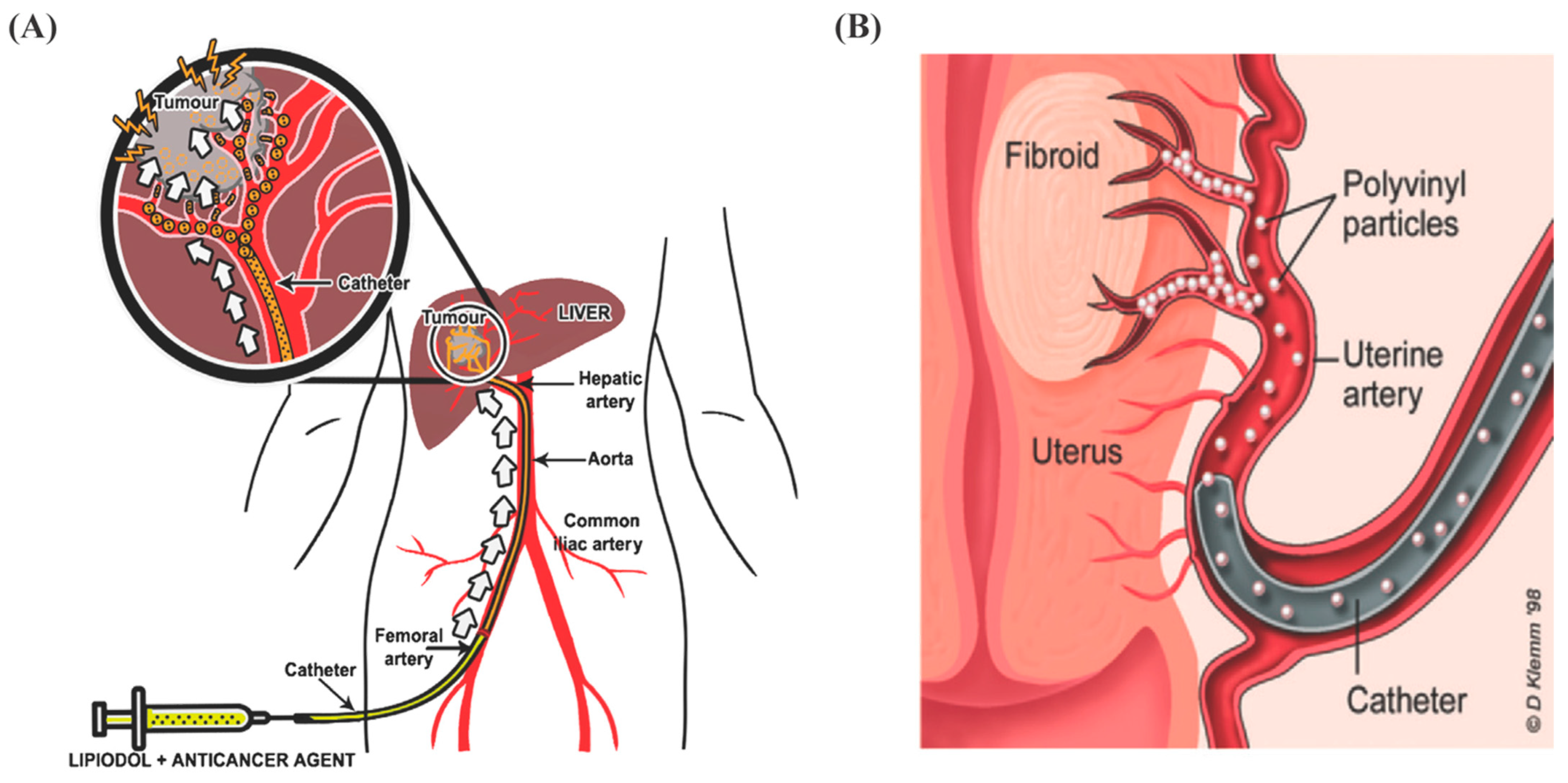 Biomimetics 07 00077 g001