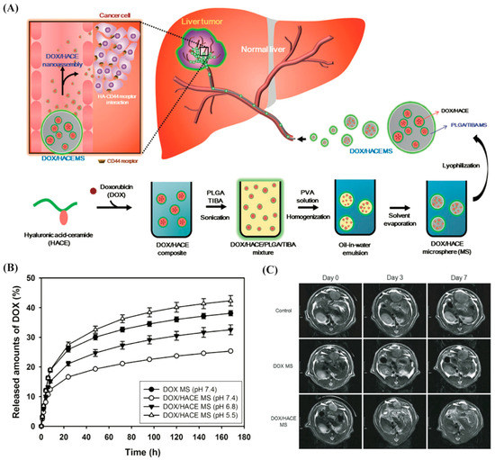 Emerging Polymer Materials in Trackable Endovascular