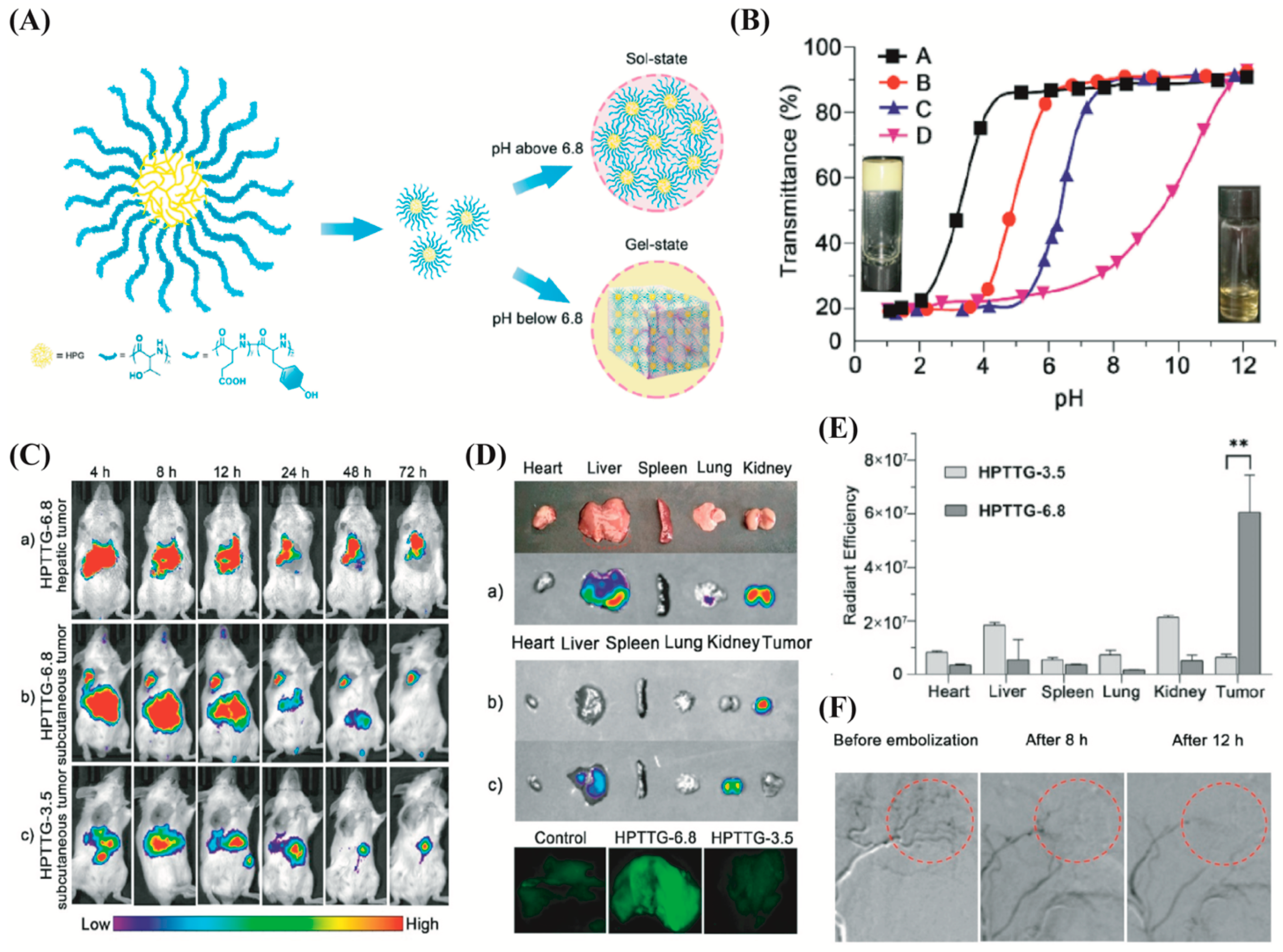 Biomimetics 07 00077 g005