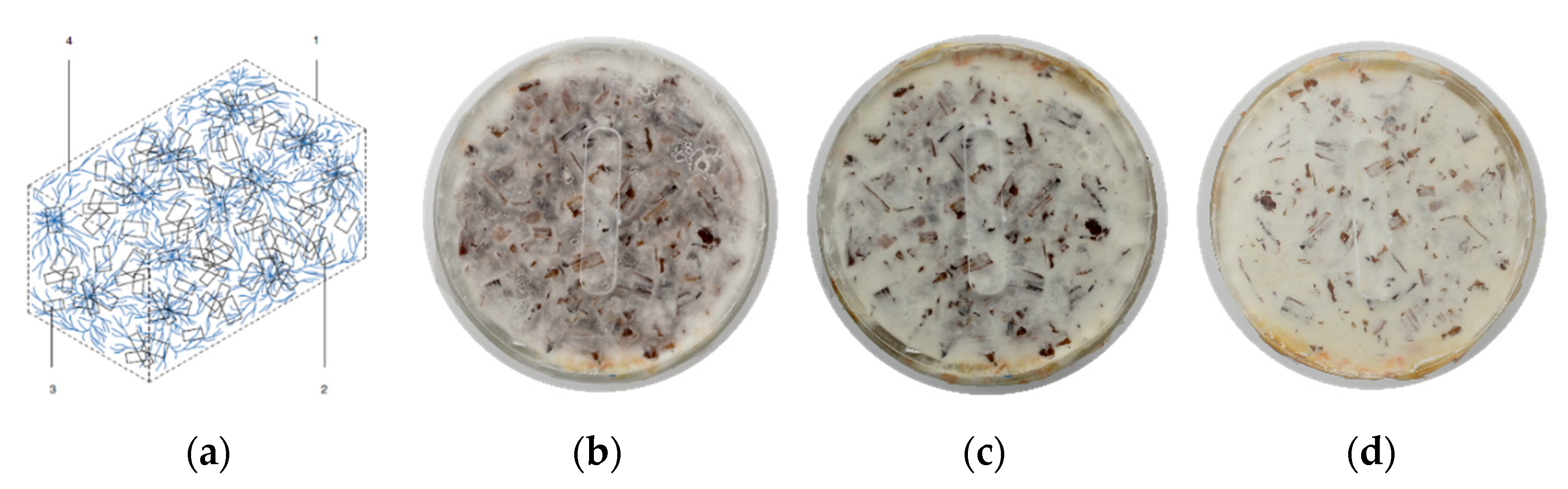 Biomimetics 07 00078 g001 550