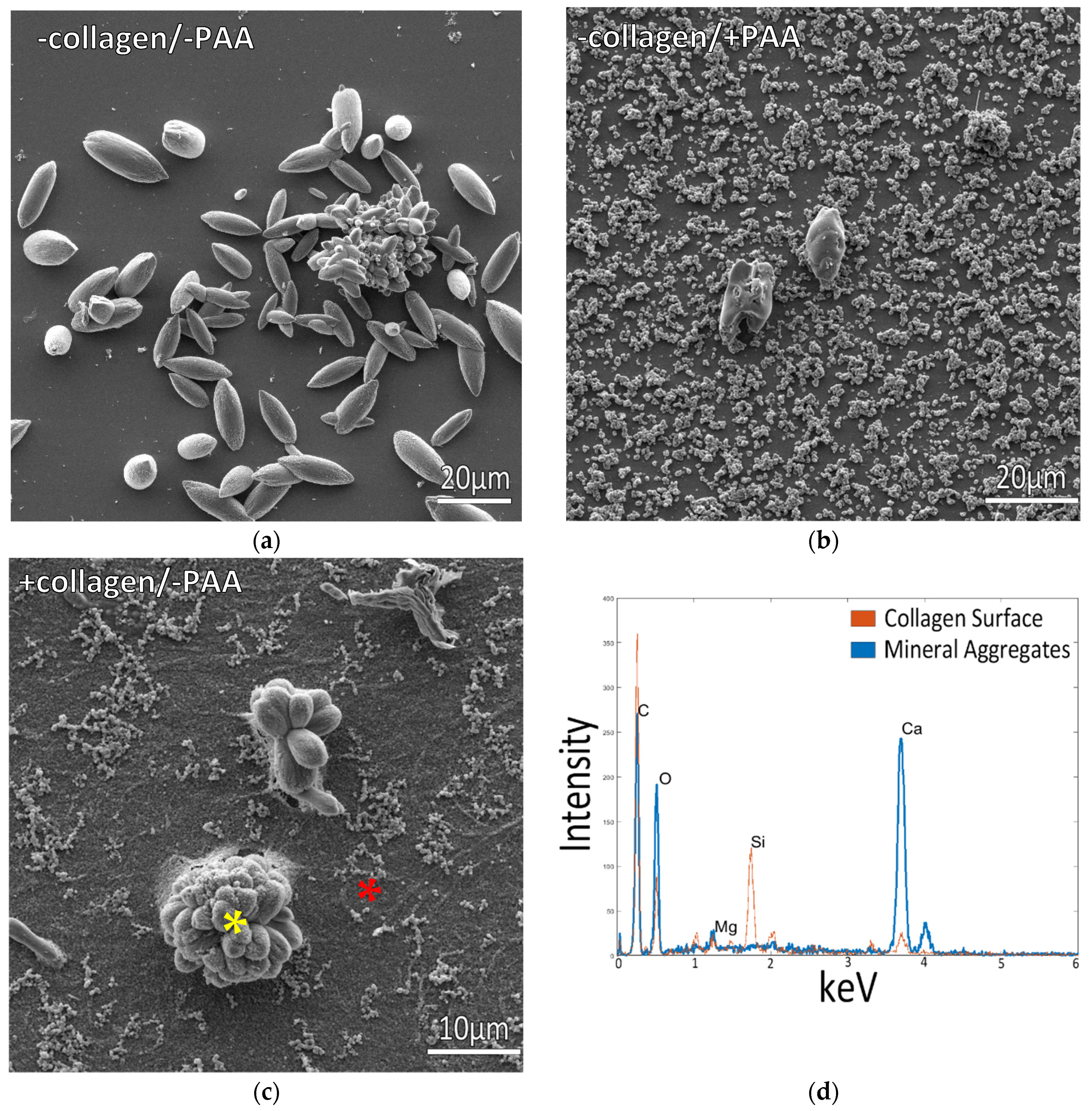 Biomimetics 07 00086 g001 Biomimetics 07 00086 g001