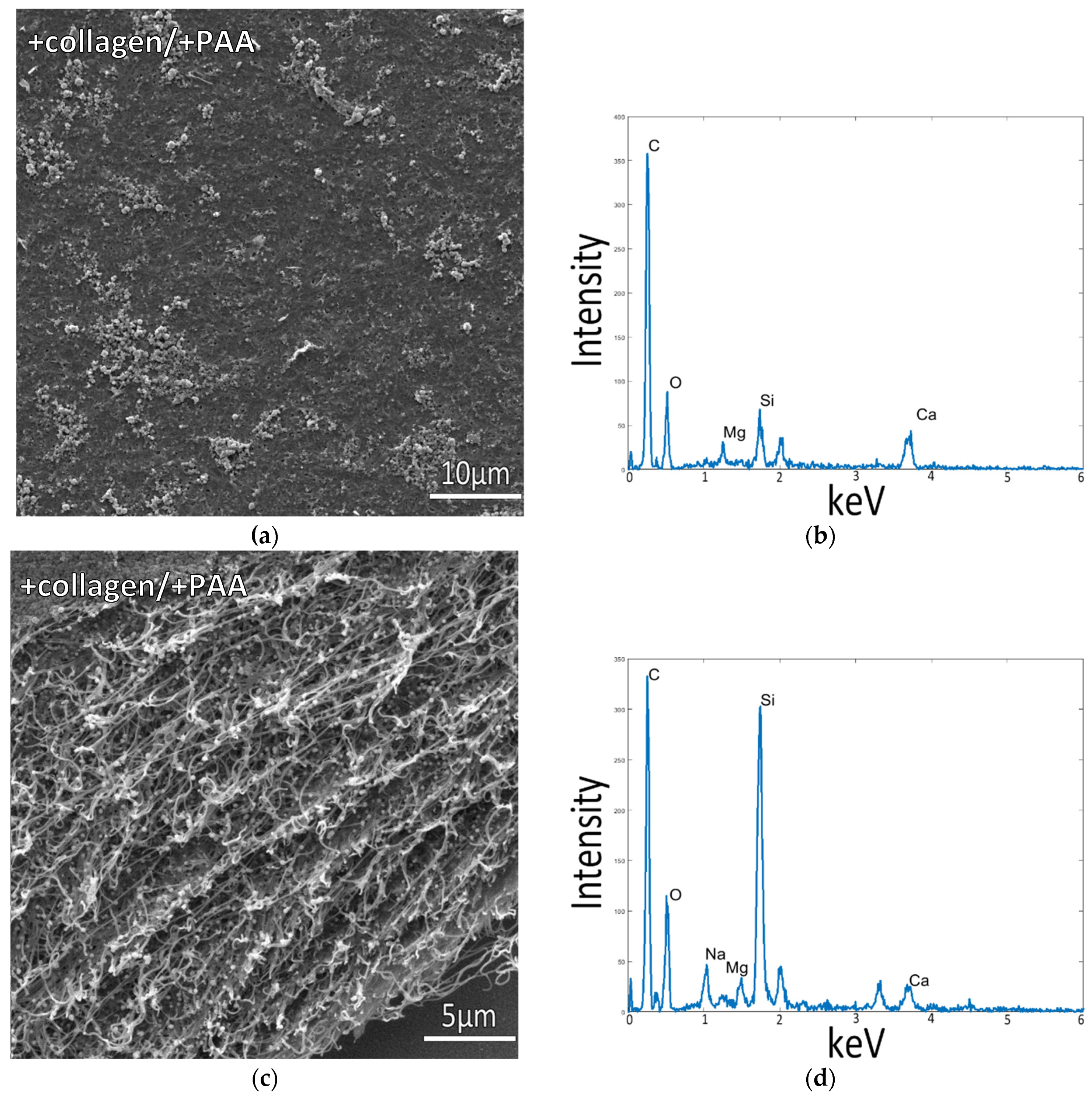 Biomimetics 07 00086 g002 Biomimetics 07 00086 g002